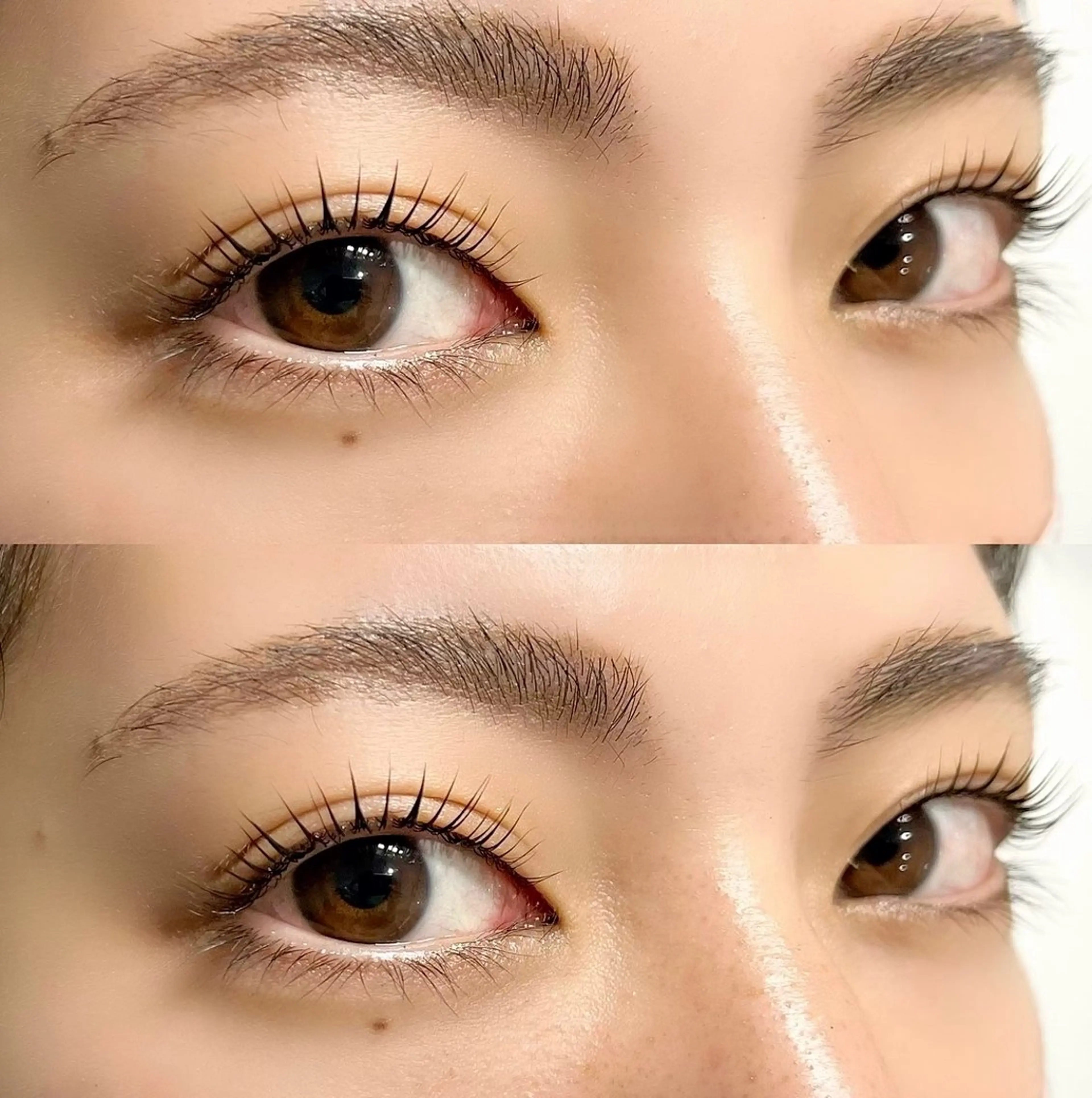 《韓国発》話題の”マスカラパーマ”選べるまつ毛パーマ＋まつ毛ティントの写真