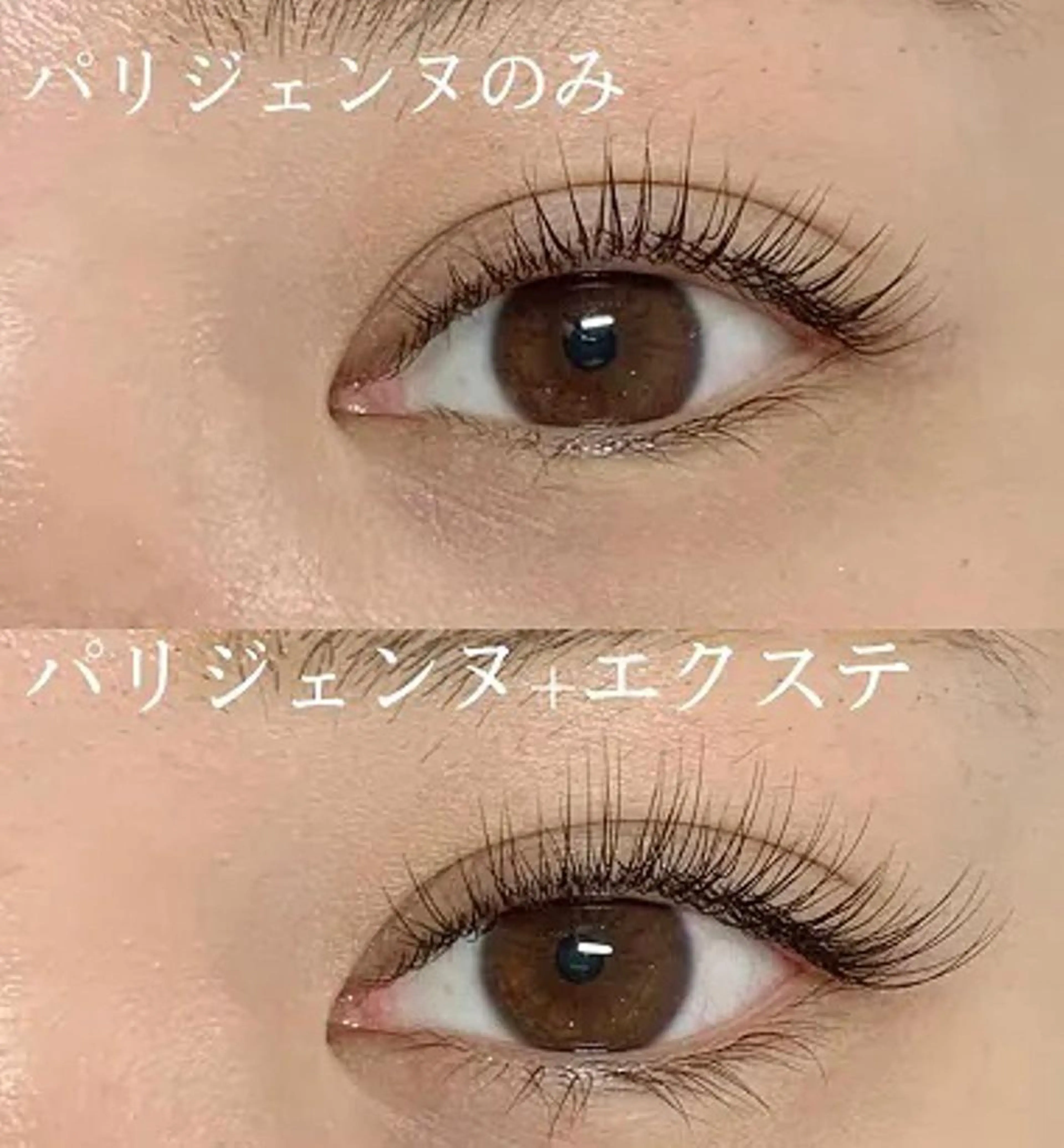 マツエク・マツパ パリジェンヌラッシュリフト EILIS& EYEのマツエク・マツパデザイン