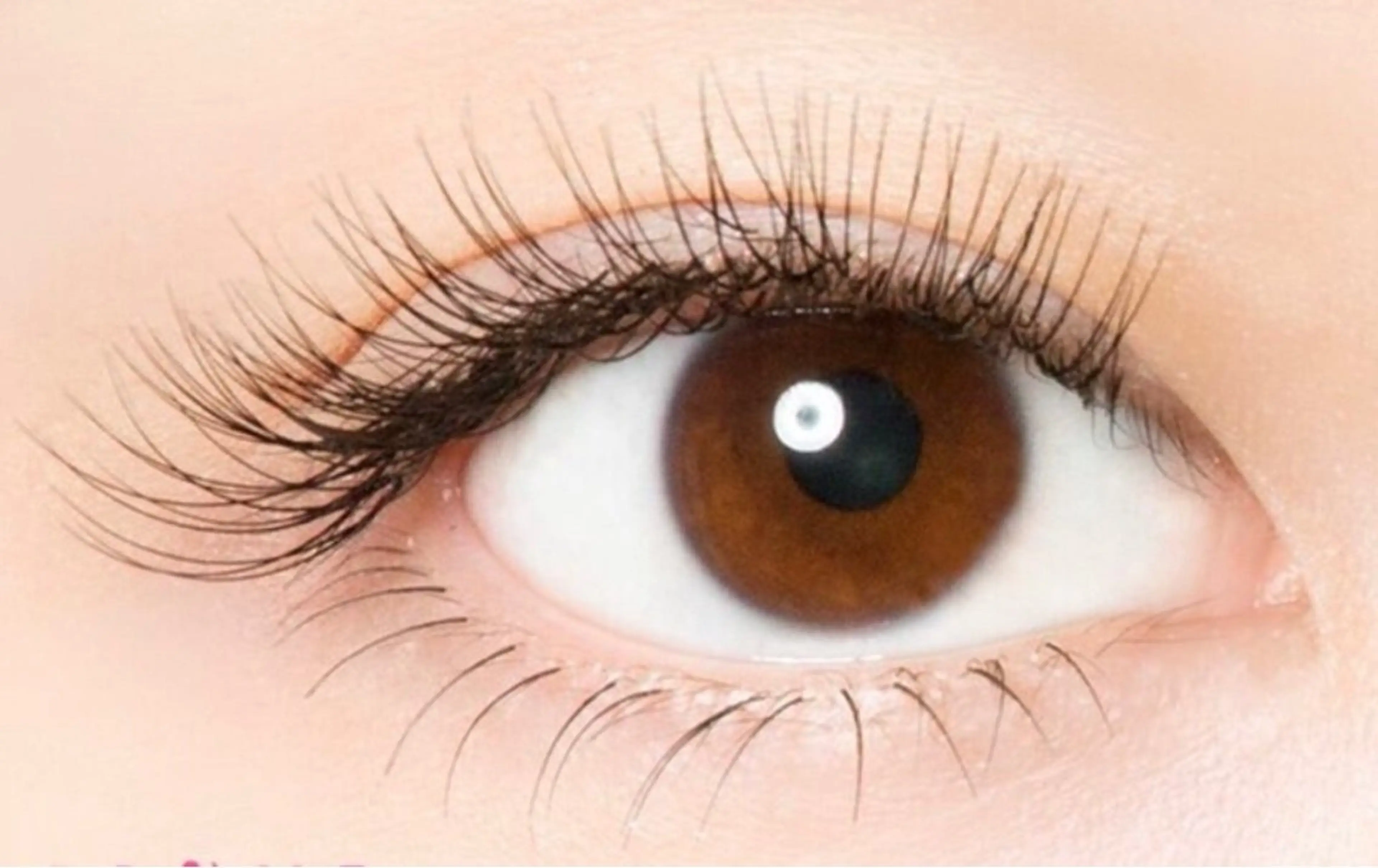 マツエク・マツパ plume 高橋のマツエク・マツパデザイン