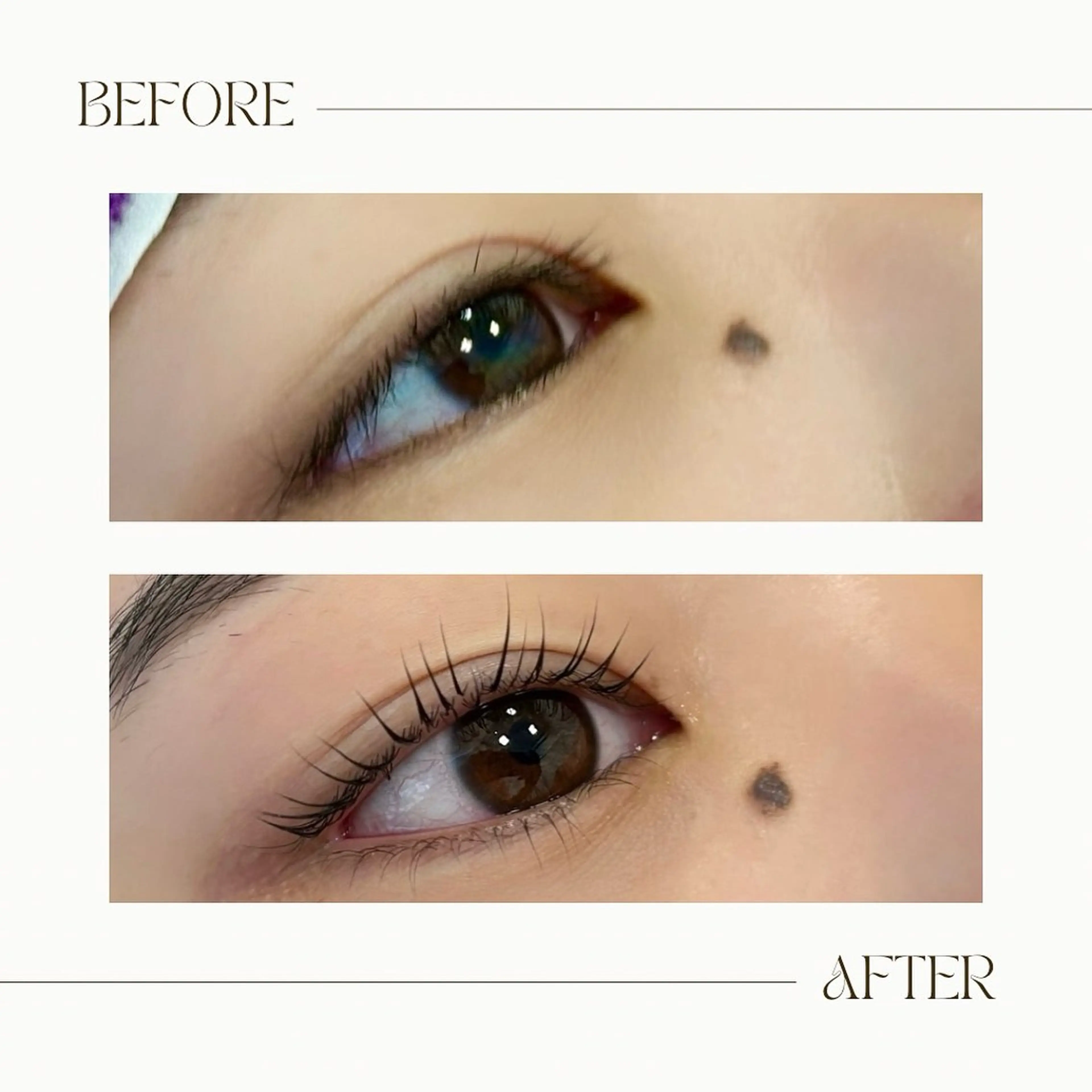 マツエク・マツパ 眉とまつ毛の 専門サロン/南森町のマツエク・マツパデザイン