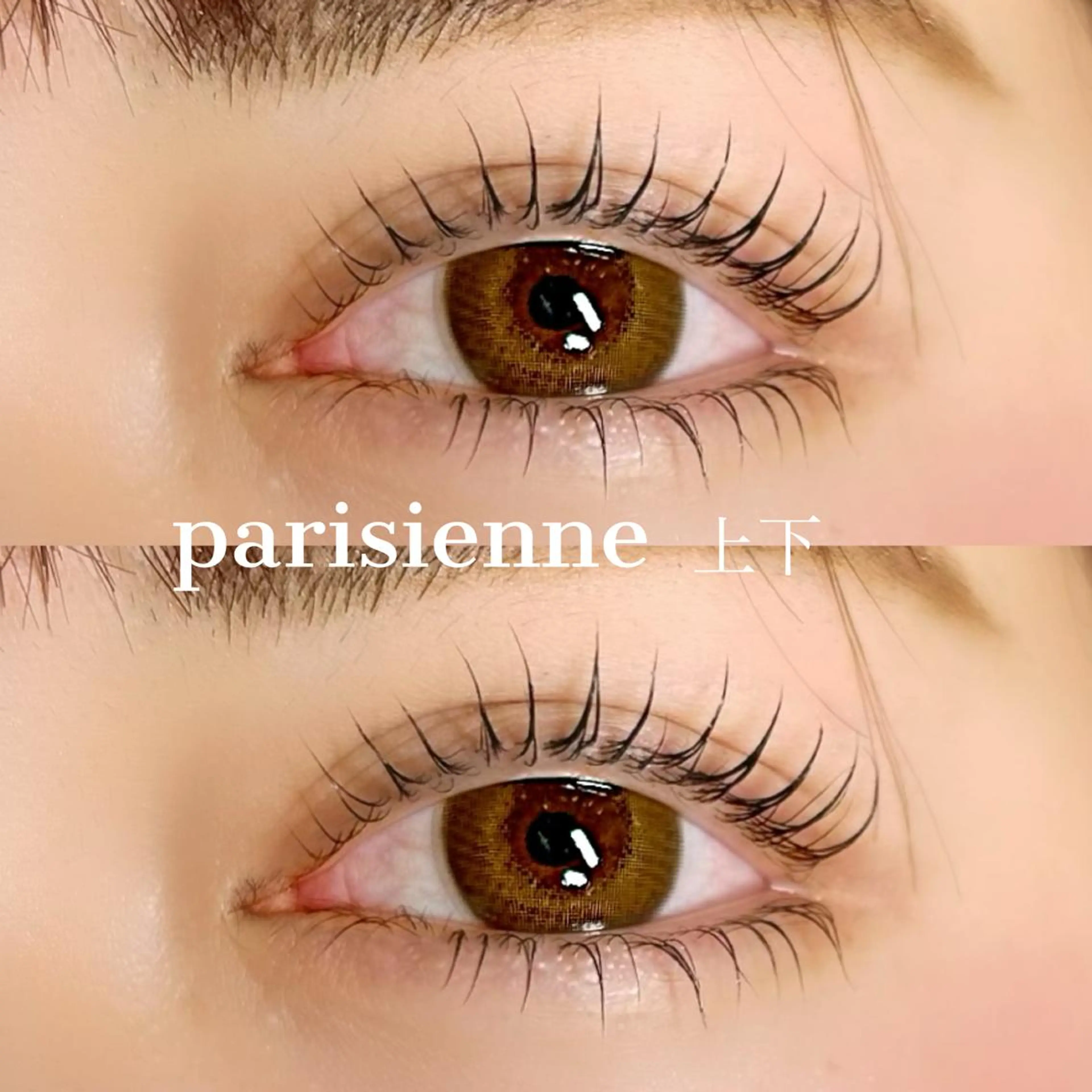 マツエク・マツパ マツパ Elle　Charme所属・Elle Charmeのマツエク・マツパデザイン