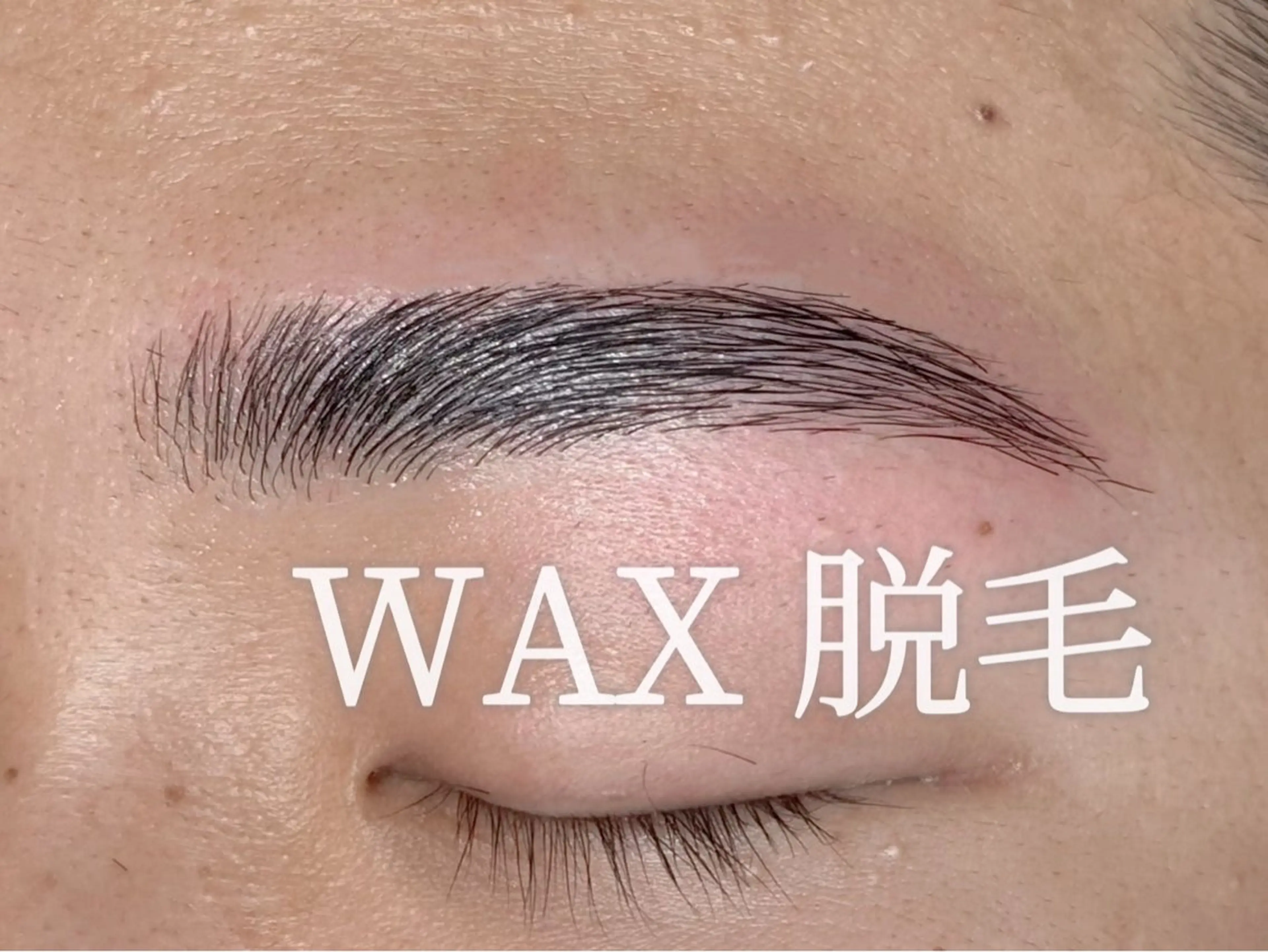 メンズ アイブロウ メンズパーマ 眉カラー ハリウッドブロウリフト 眉毛ワックス脱毛 greedy東山店 長谷川のエステ・リラクイメージ