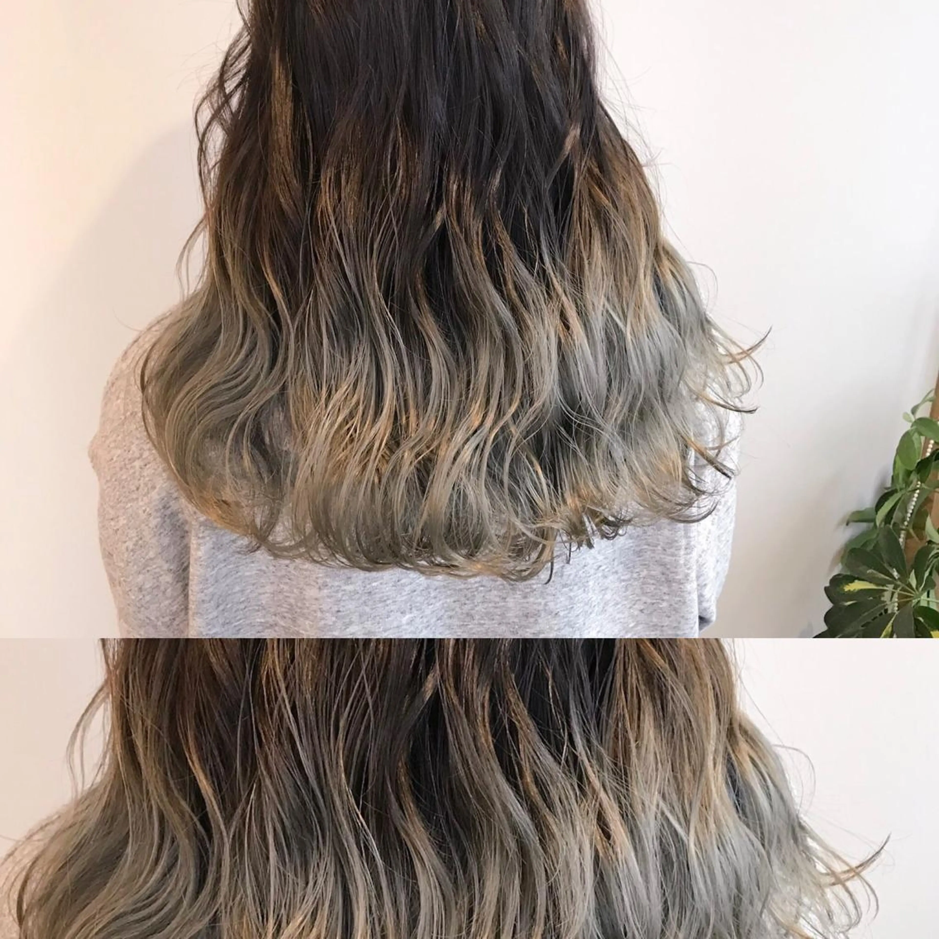 セミロング カラー グラデーションカラー シルバー Fave【フェイブ】 /🌈推し活のその他イメージ
