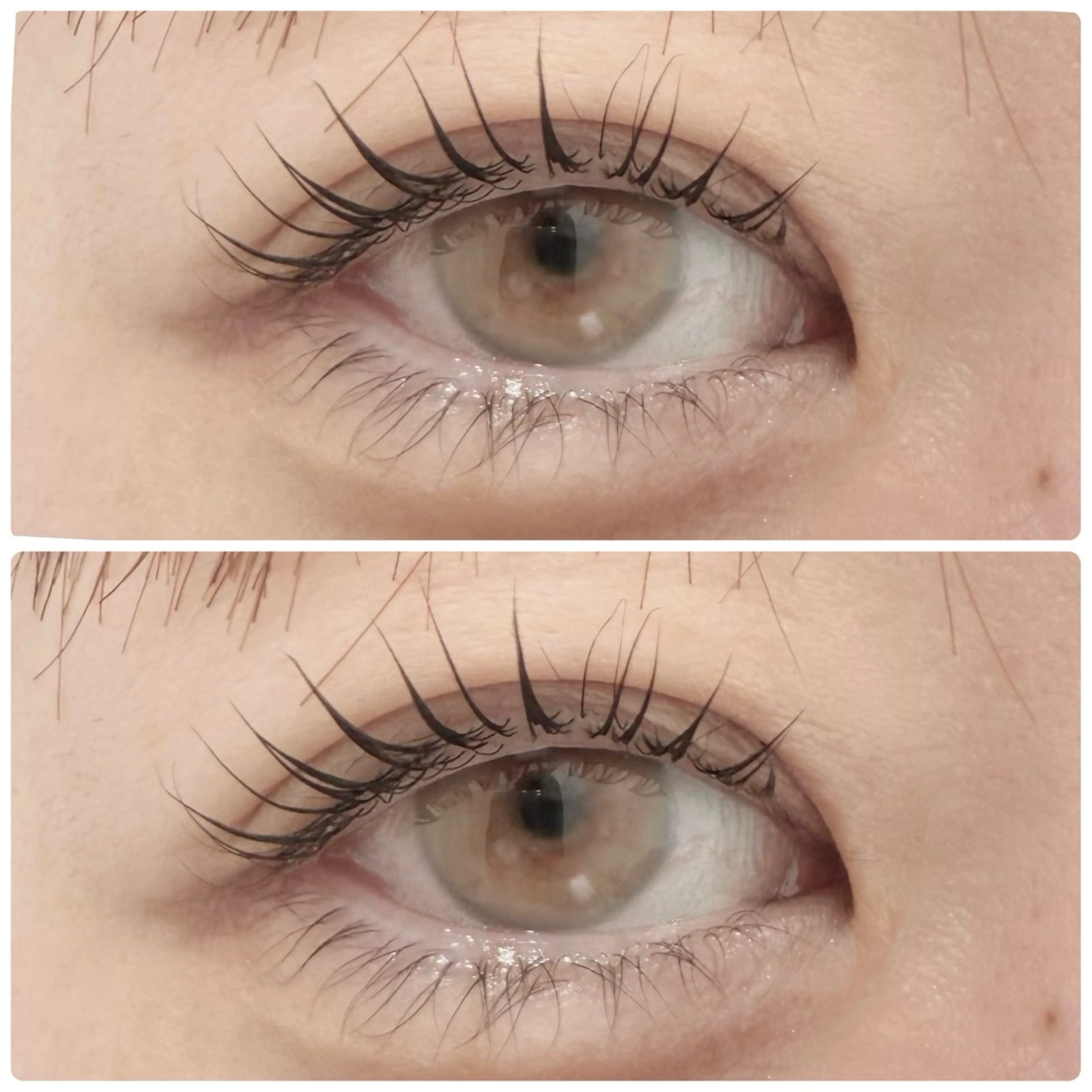 マツエク・マツパ パリジェンヌラッシュリフト Lien eyelash 南流山所属・Lien eyelashのマツエク・マツパデザイン