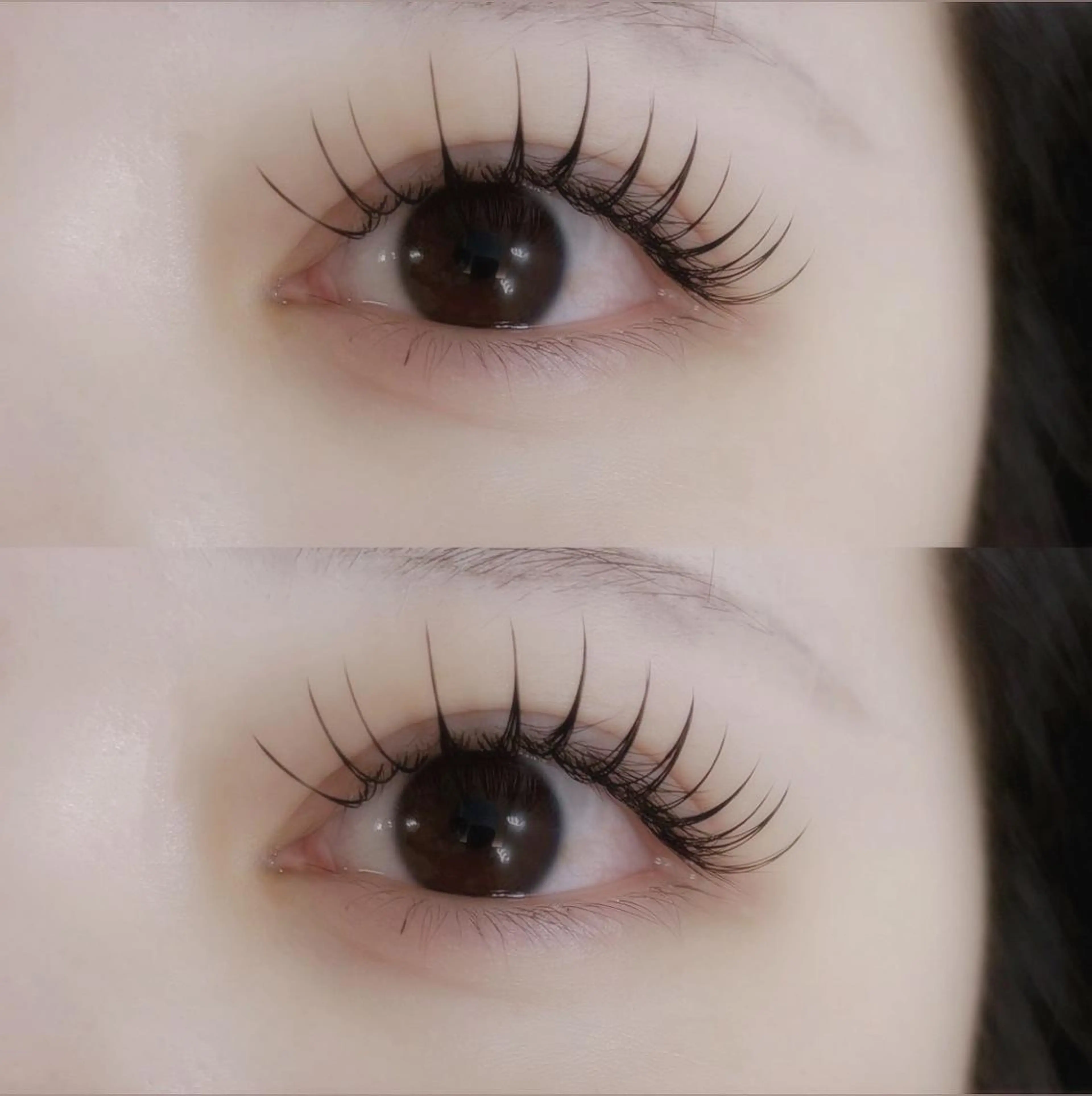 【限定メニュー】🖤アップワードラッシュ120本🪽🖤の写真