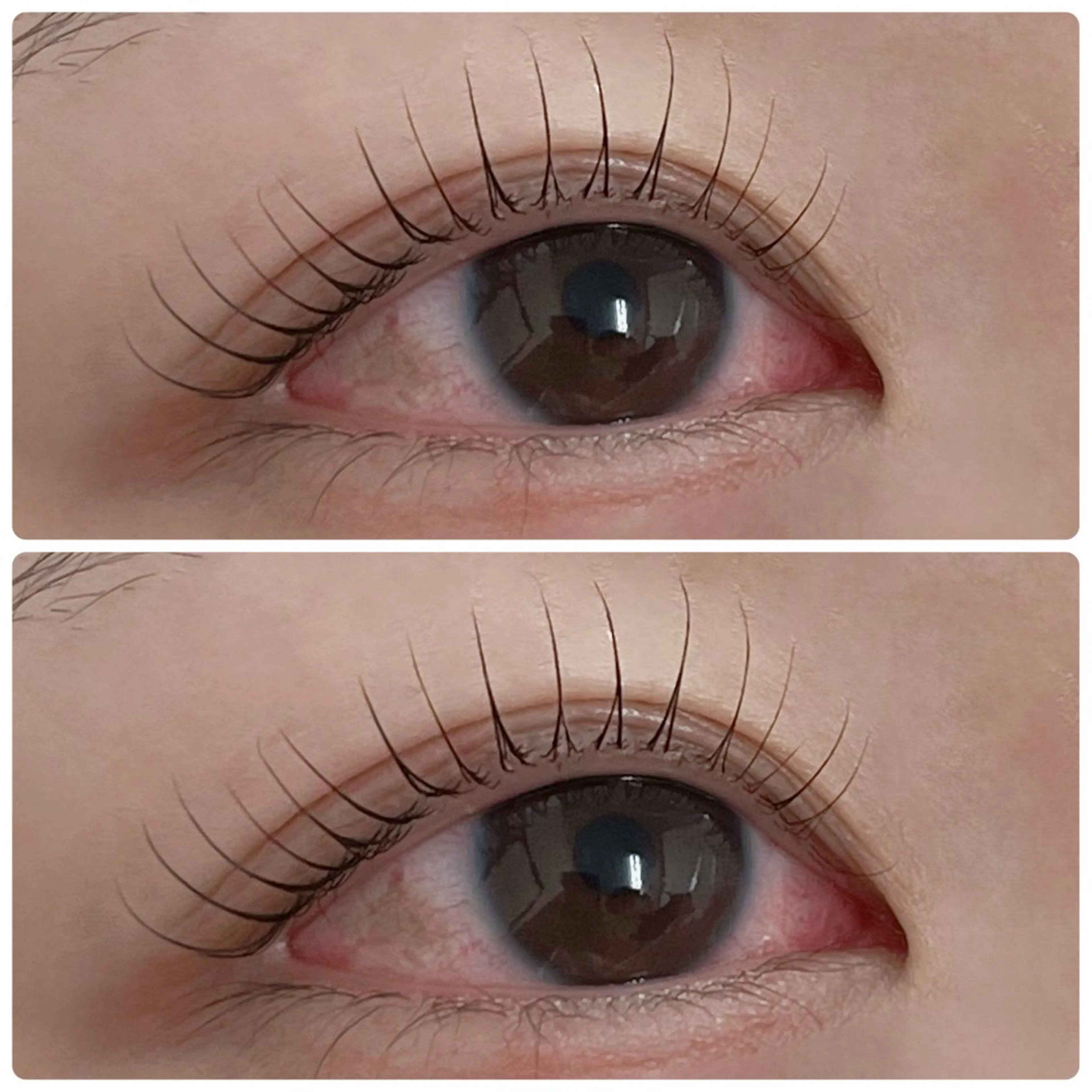 限定🎀ラッシュリフト上🎀選べるオプション付きの写真