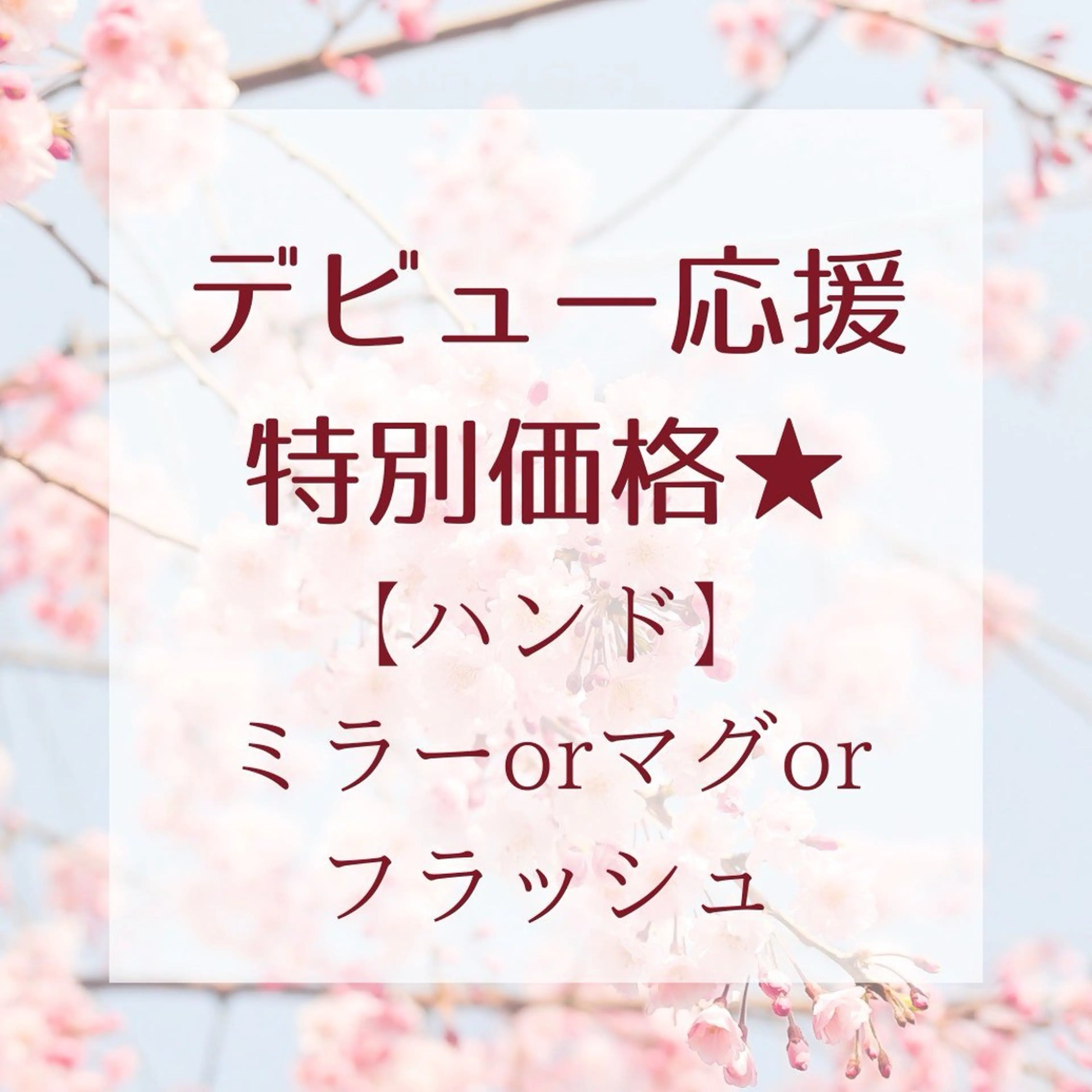 ミラーorマグネットorフラッシュ(オフ無)の写真