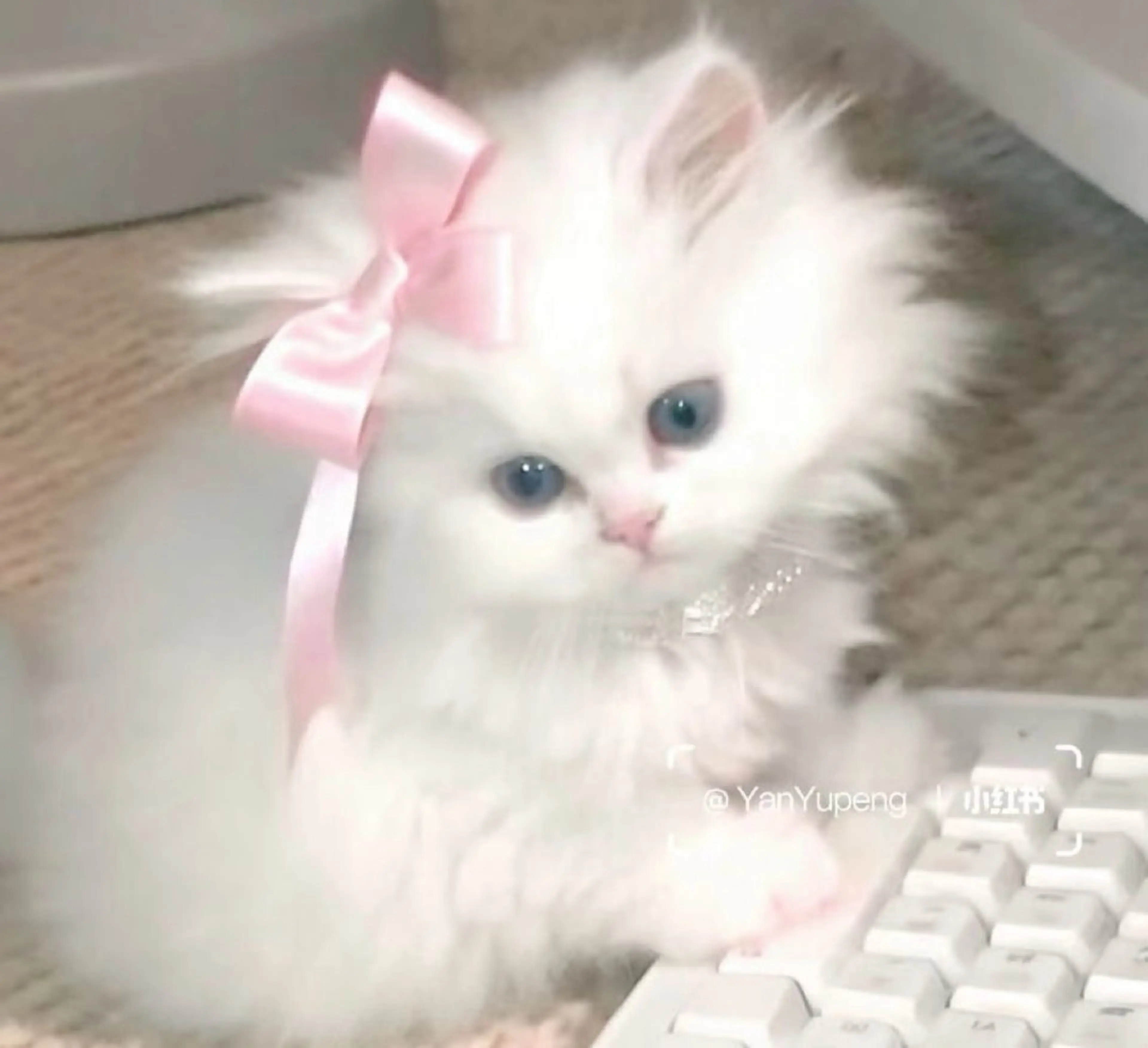 マツエク・マツパ miki🍒 横浜のマツエク・マツパデザイン