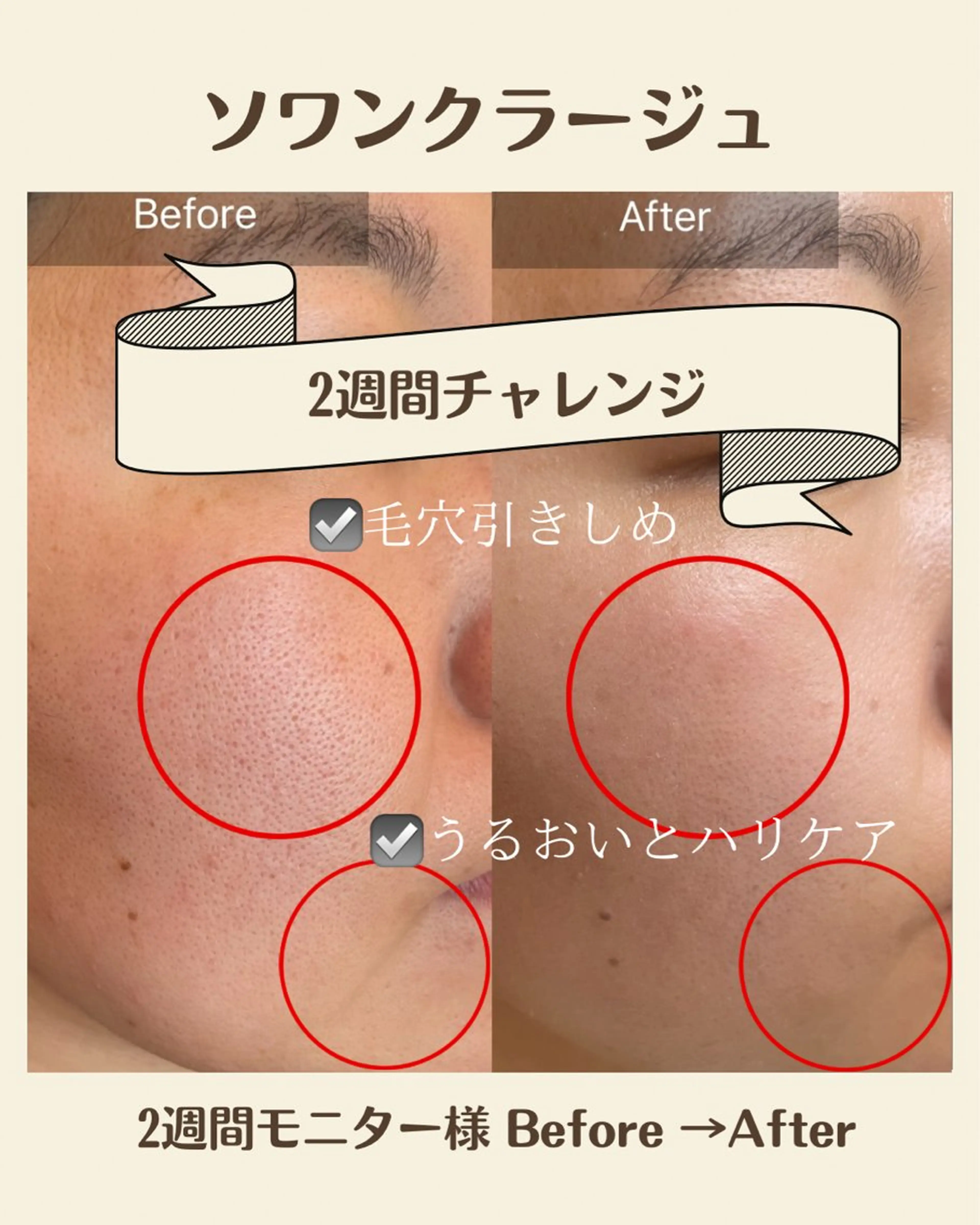 新商品デビュー🌟モニター募集の写真