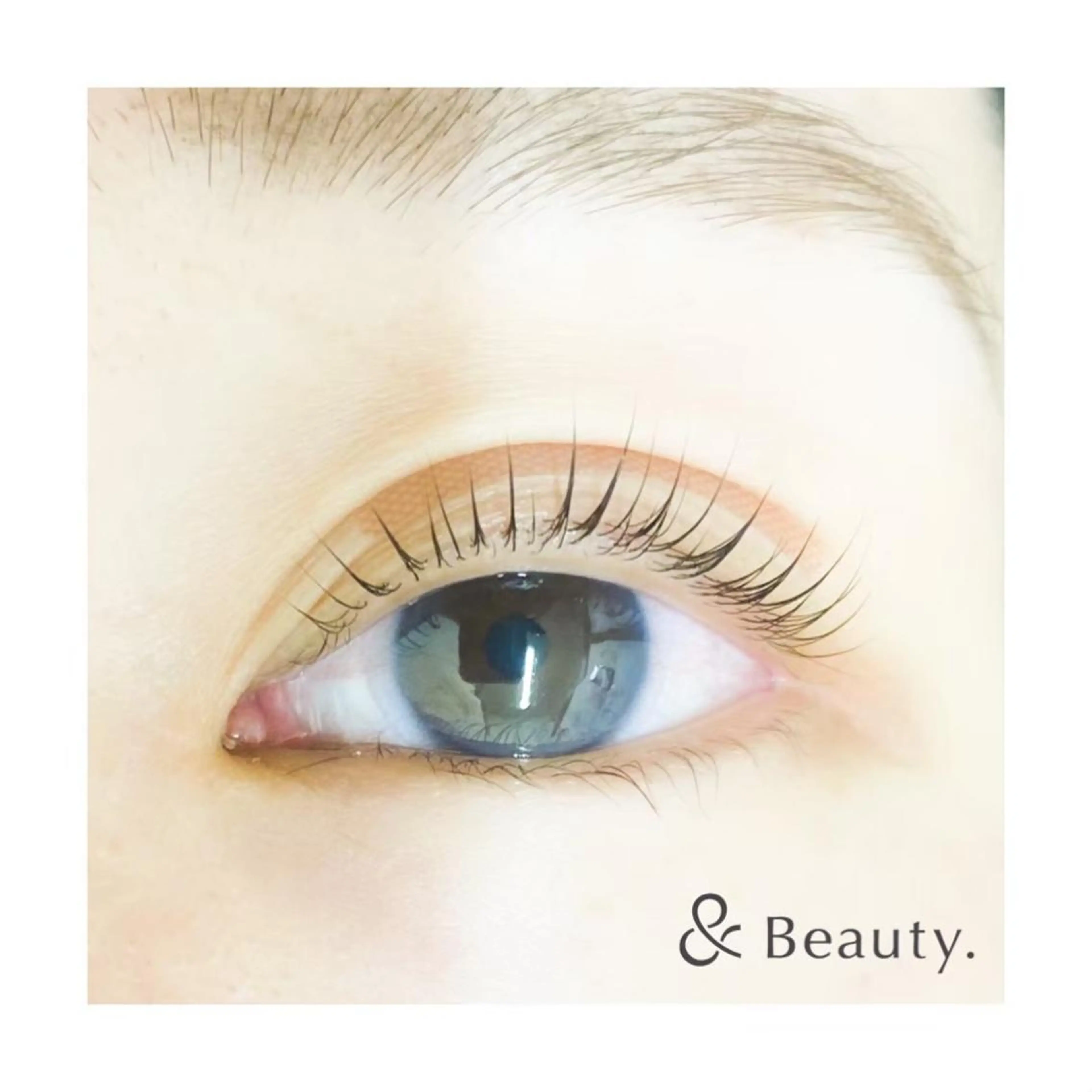 マツエク・マツパ B'Lash Maitaの眉毛・アイブロウイメージ