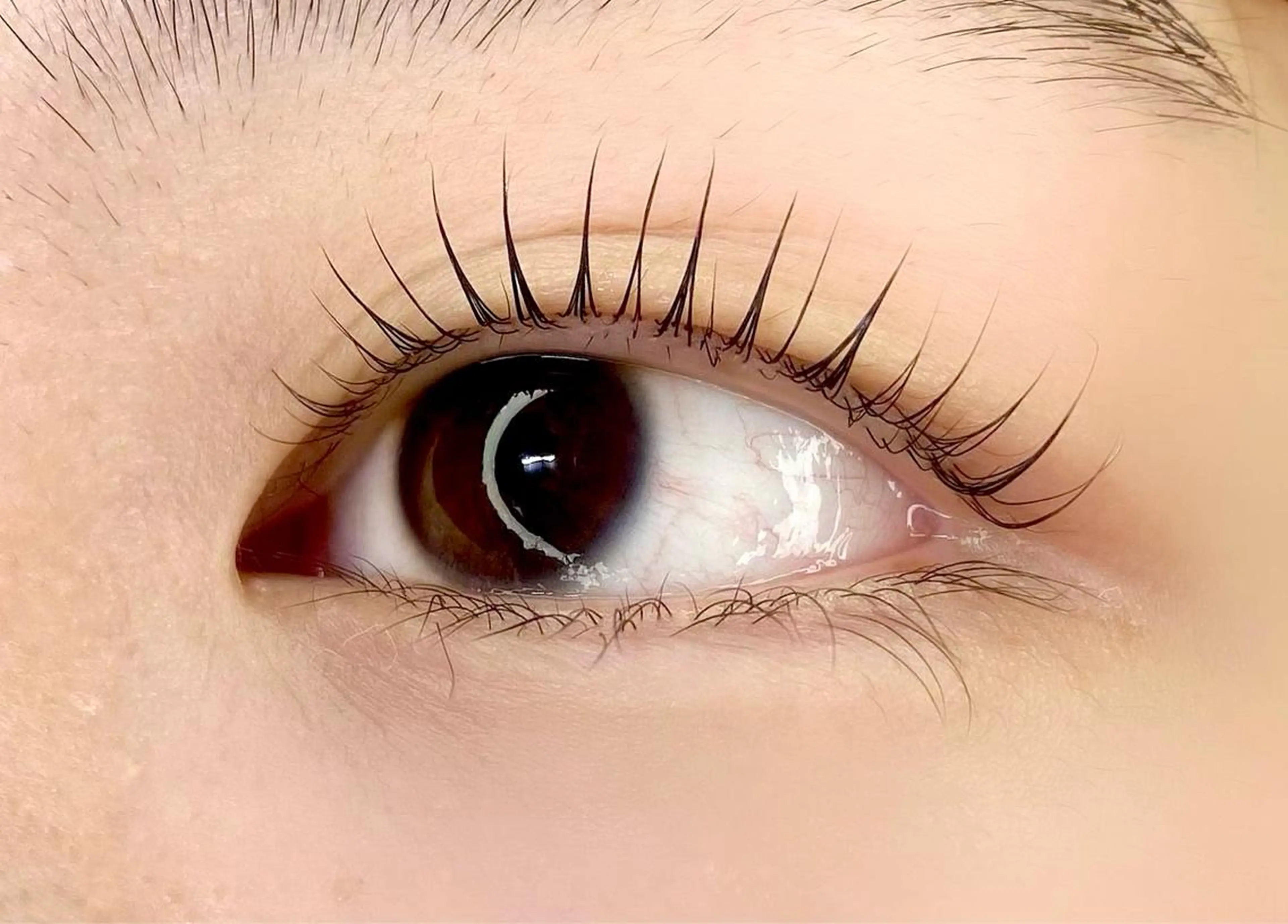 マツエク・マツパ Etoile エトワール品川店の眉毛・アイブロウイメージ