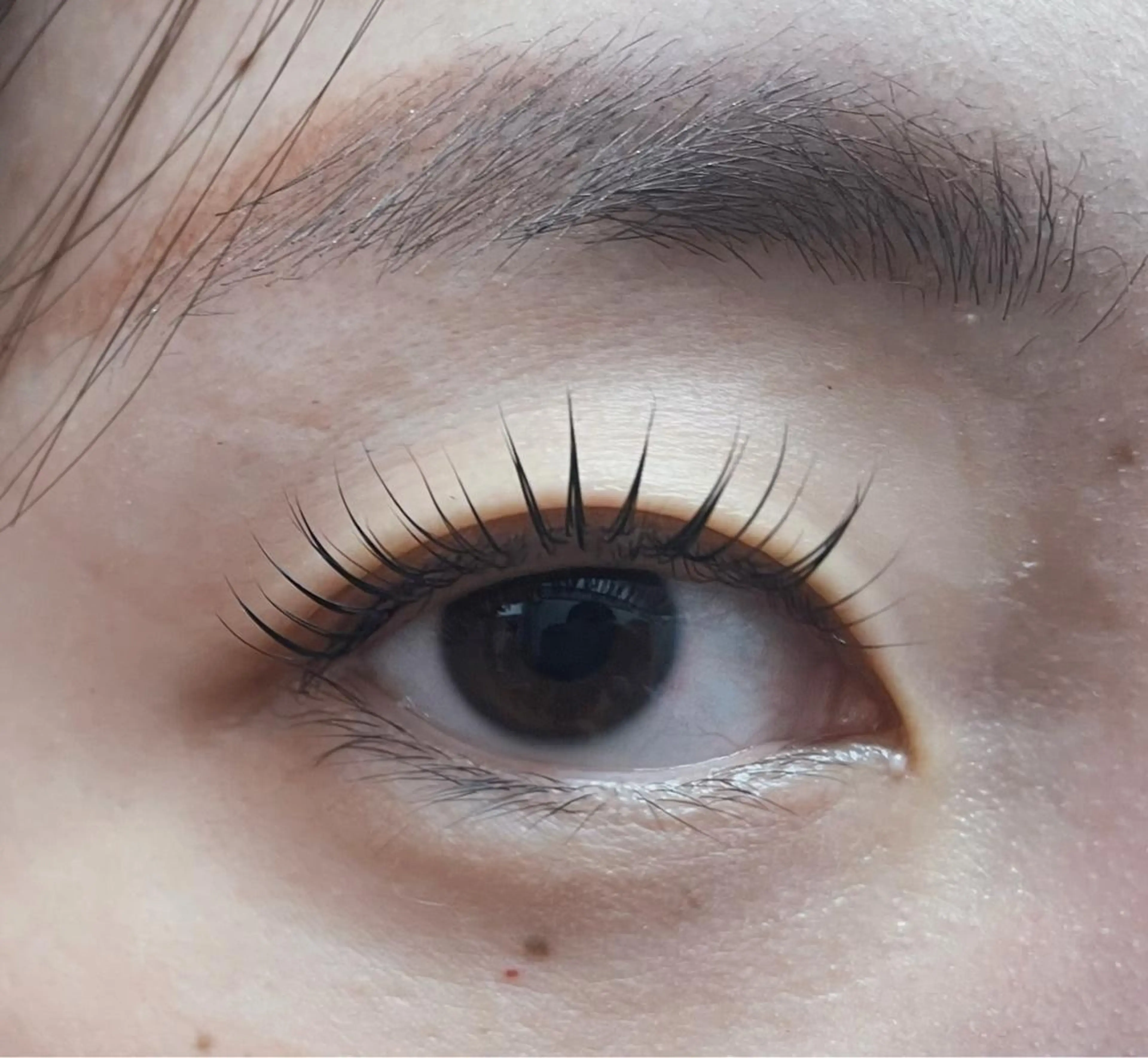 マツエク・マツパ マツパ cils·シル アイラッシュのマツエク・マツパデザイン