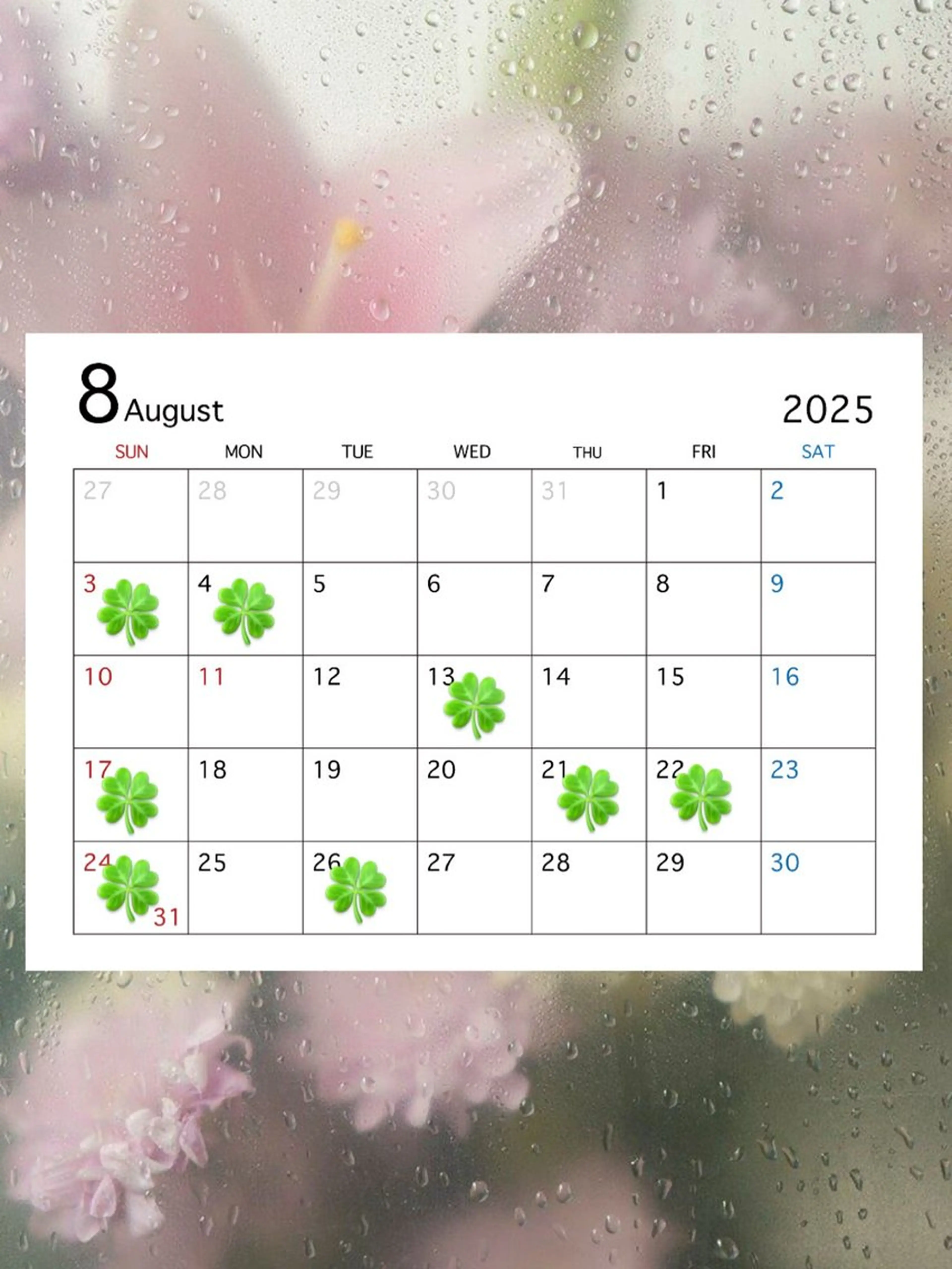 🍀fein. sakura🍀の眉毛・アイブロウイメージ