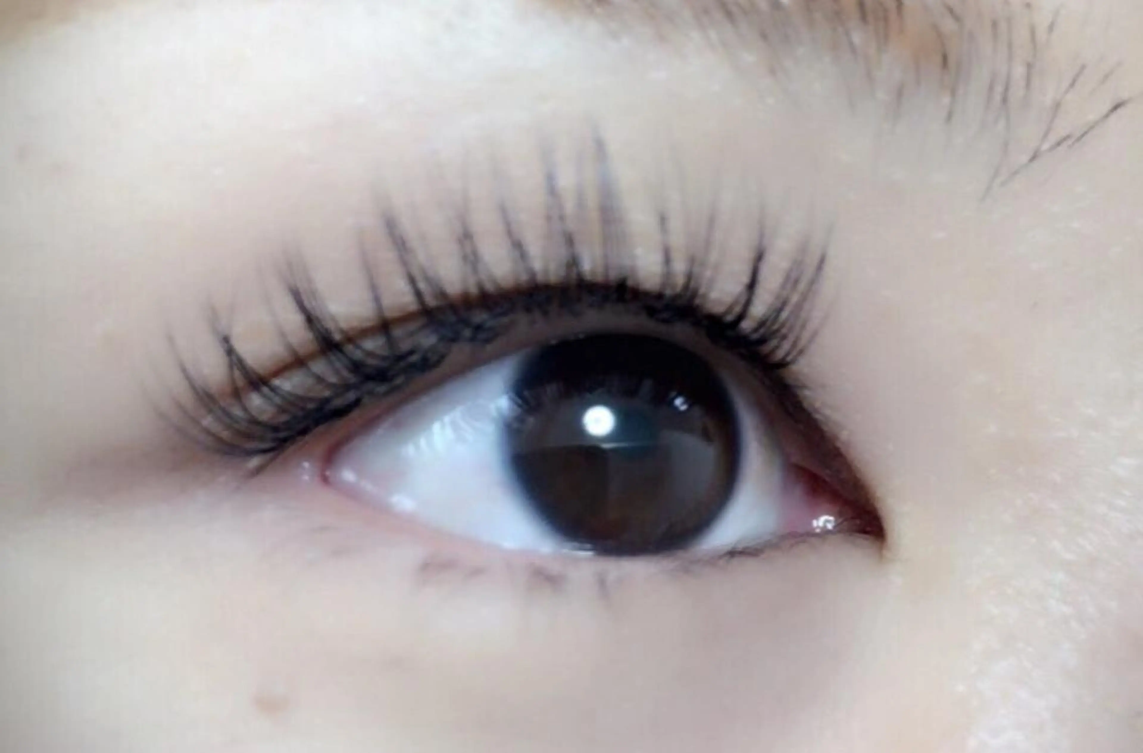 マツエク・マツパ Dカール セーブル Shinus シャイナスのマツエク・マツパデザイン