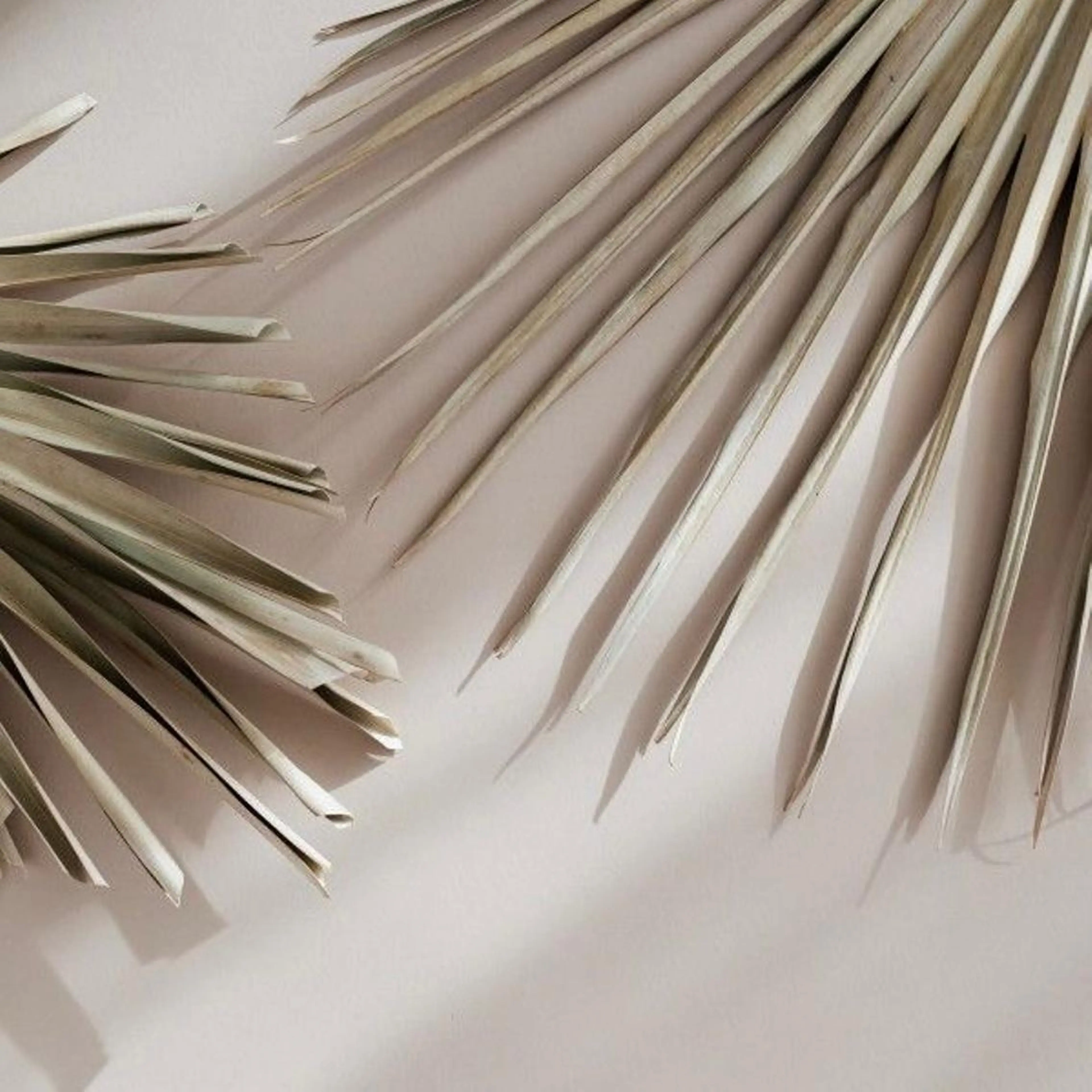 Lash&brow PORTE269 瓜破店所属・田川 きららのマツエク・マツパデザイン