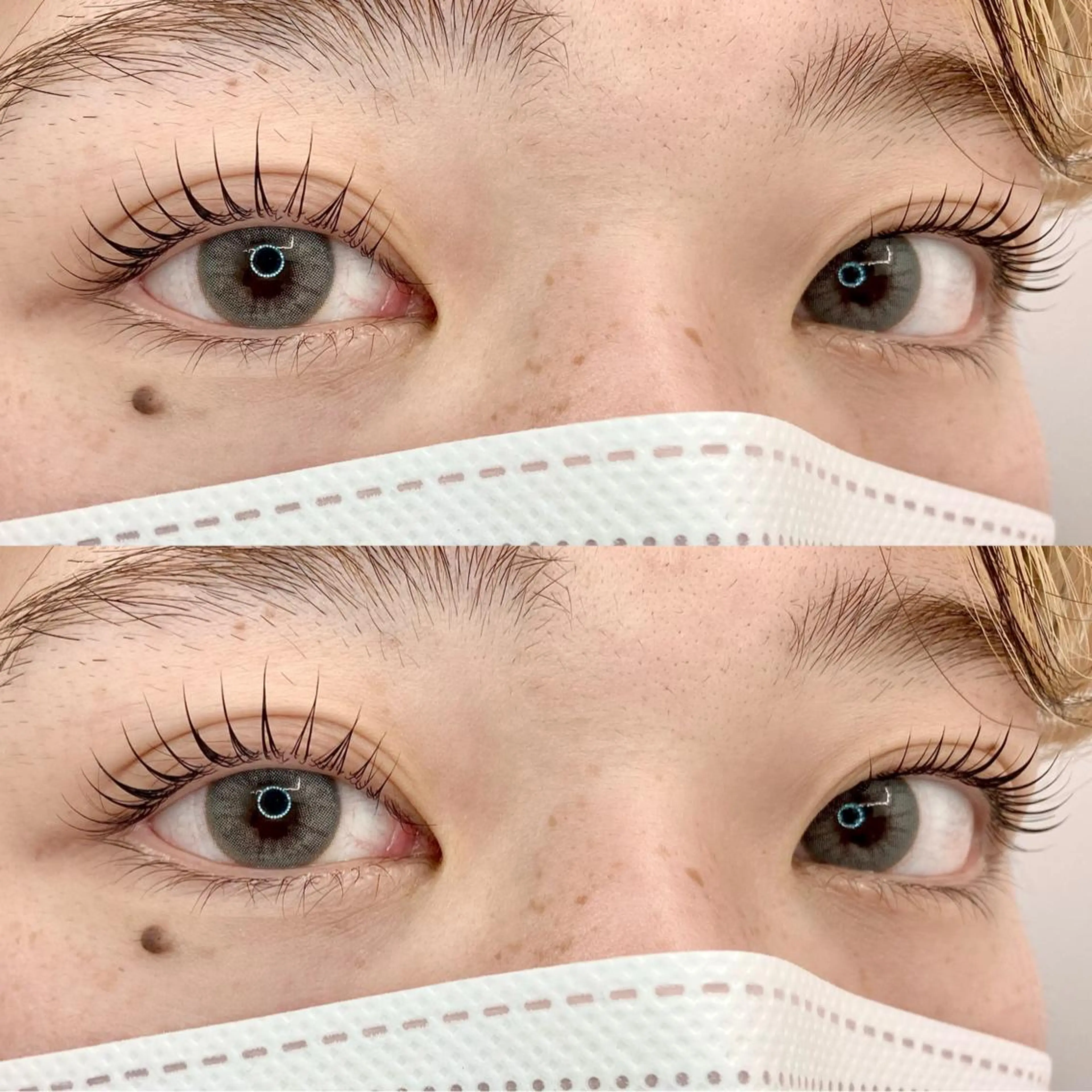 🦋パリジェンヌを含む似合わせラッシュリフト🦋※トリートメントケア付🤍の写真