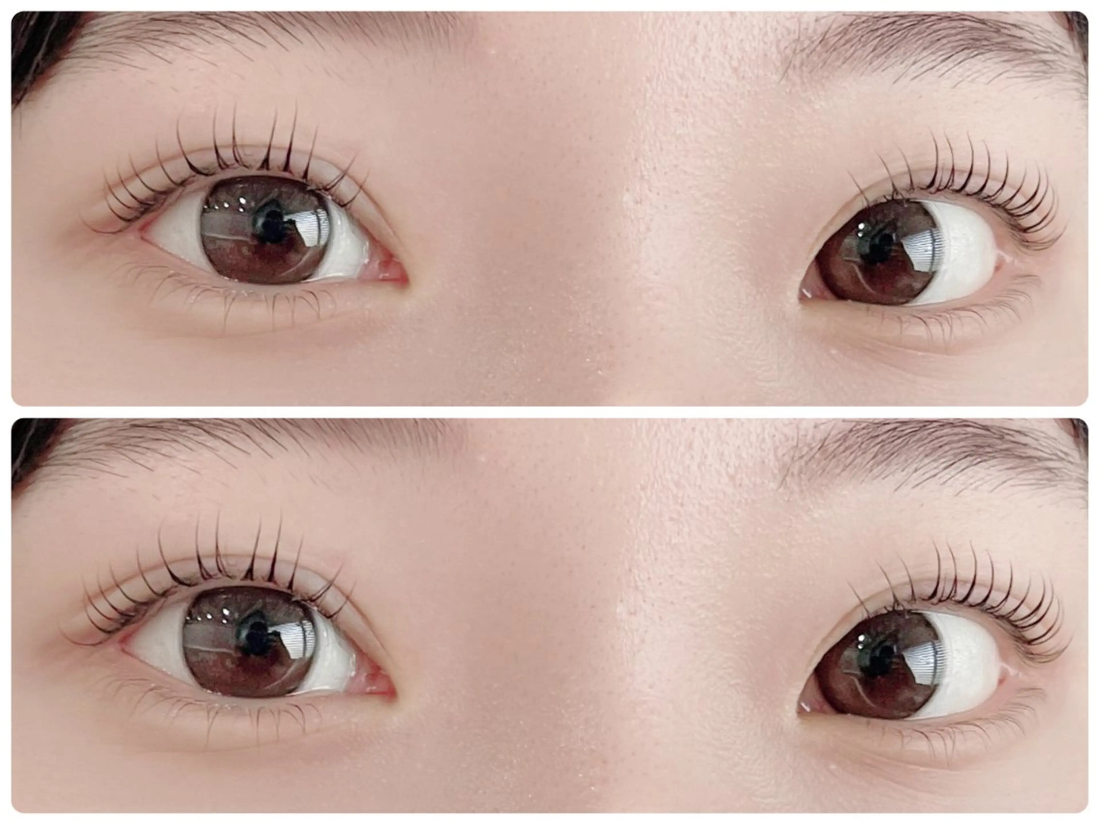 マツエク・マツパ Cカール Lカール MASAKI KOKOROの眉毛・アイブロウイメージ