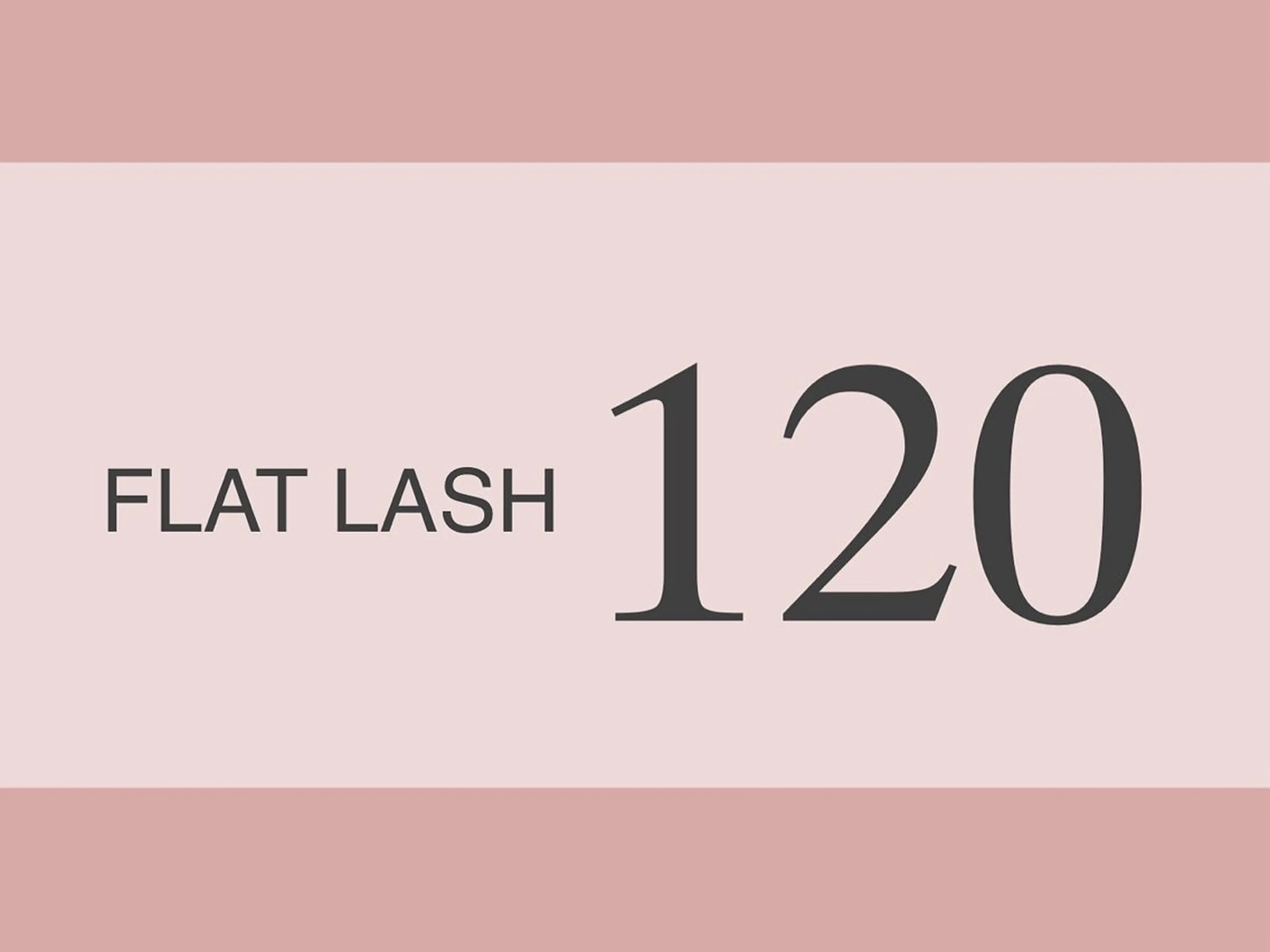 フラットラッシュ120本(LED変更＋¥2500)の写真