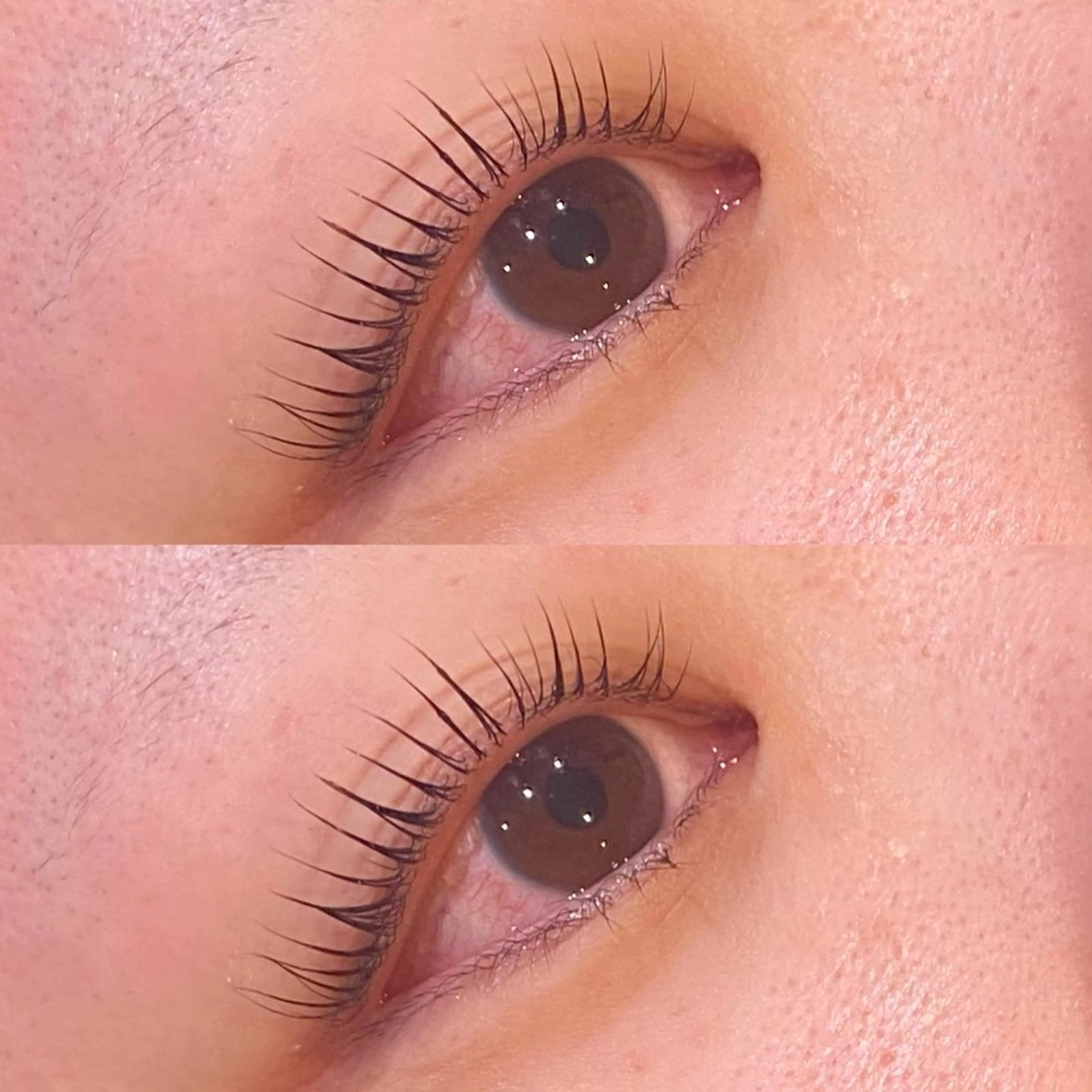 マツエク・マツパ 一重×まつ毛パーマ マツパ 艶カラー 藤澤さくらのマツエク・マツパデザイン