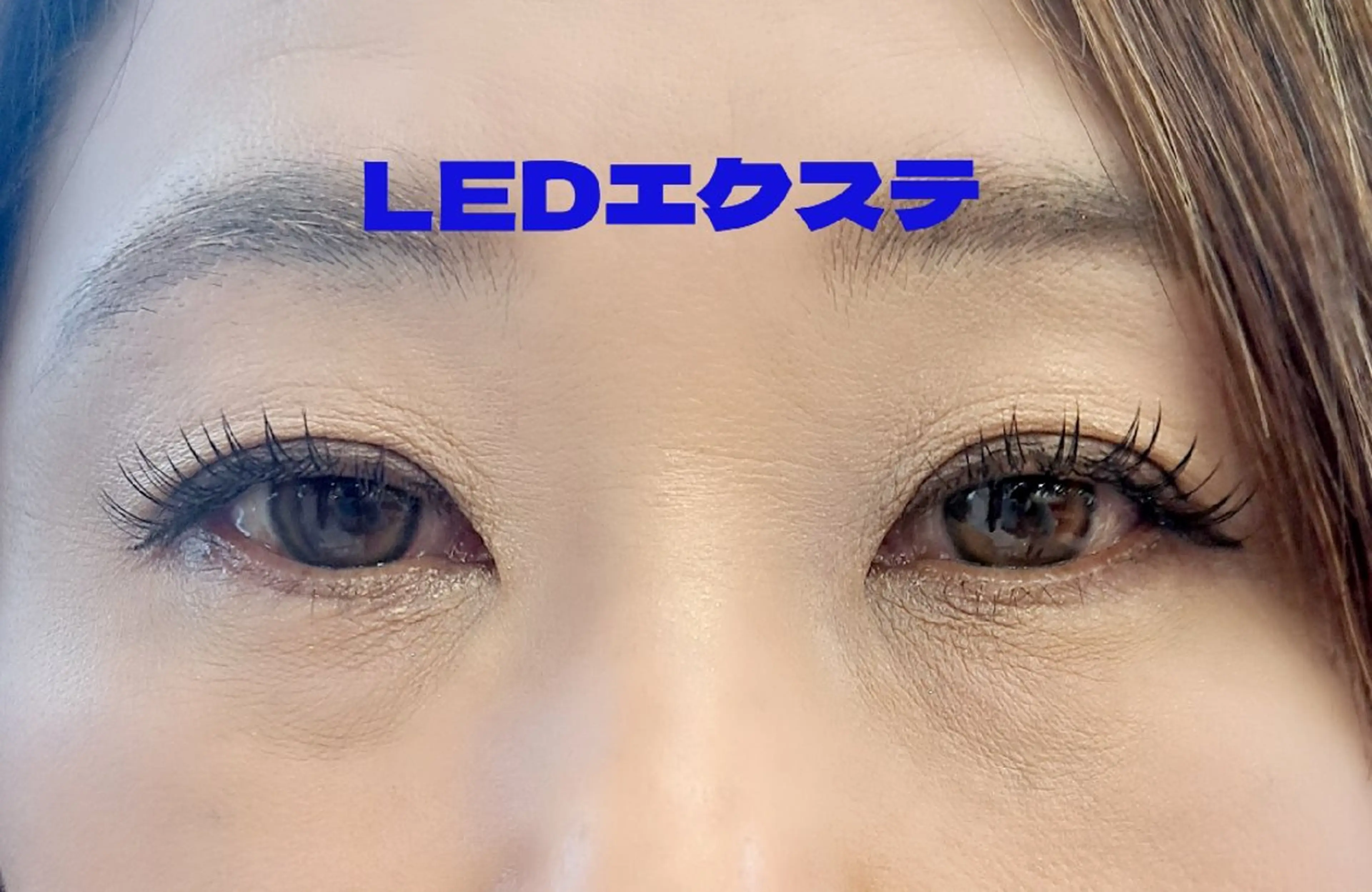 ❤️‍🔥LEDエクステつけ放題90分❤️‍🔥コーティング付¥8800の写真