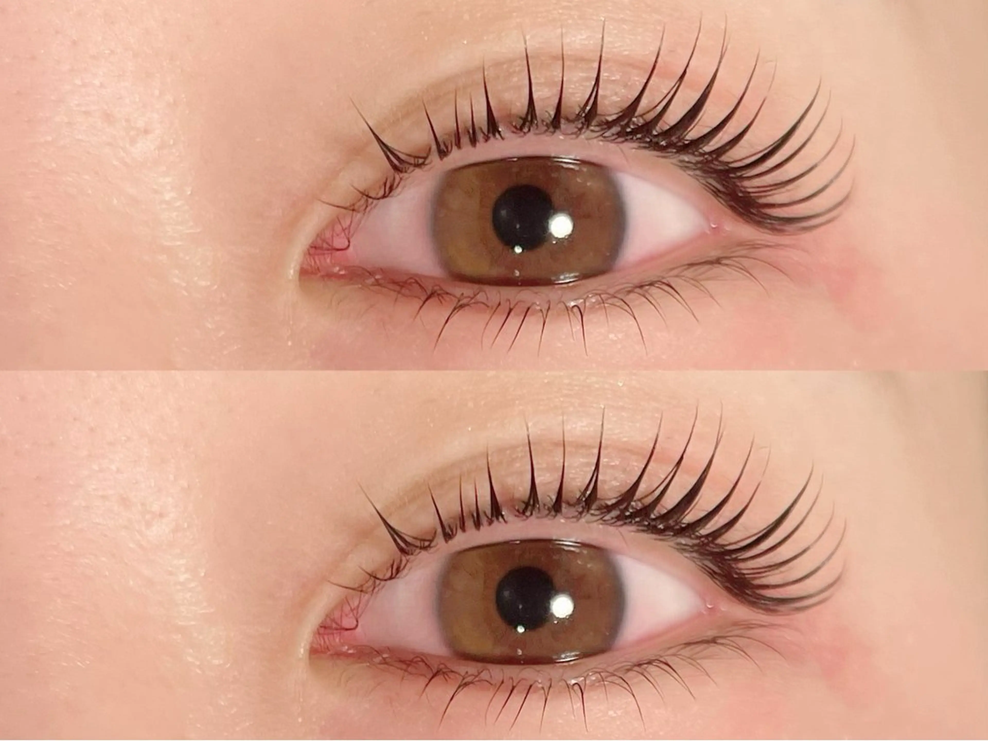 マツエク・マツパ マツパ ikoi yukaのヘアスタイル