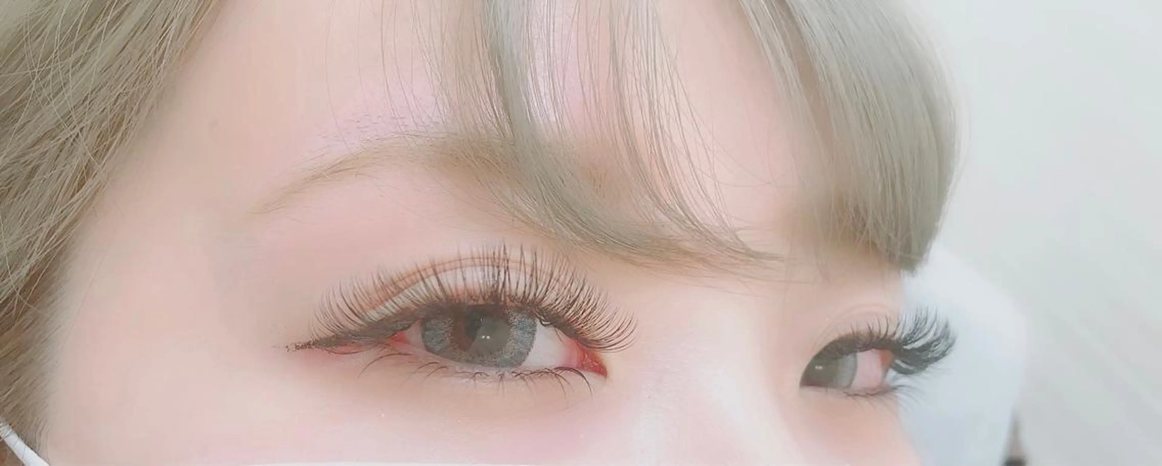 🌸ボリュームラッシュ100束(3Dから5D)/オフ無料の写真