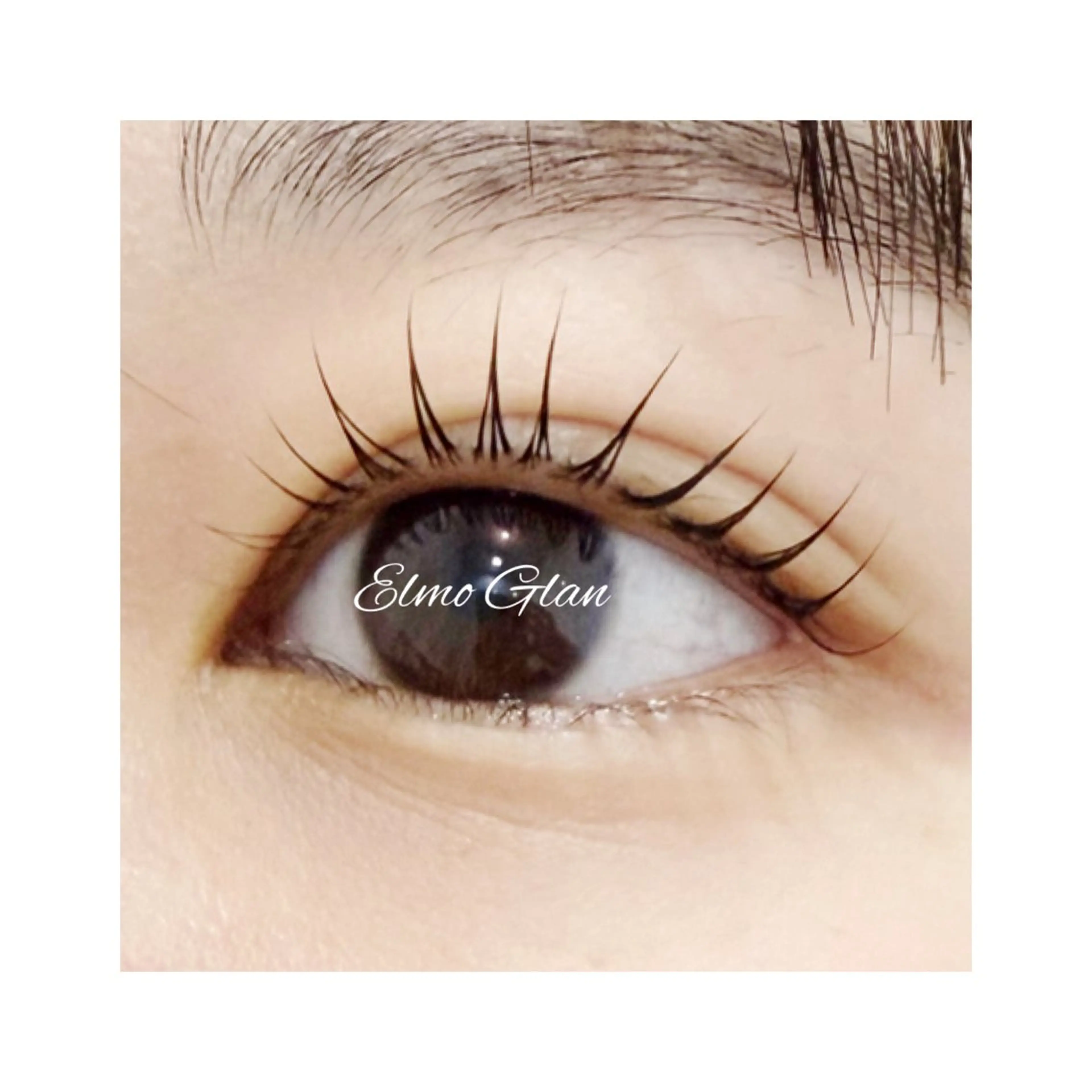 マツエク・マツパ マツパ Elmo Glan サカモトのマツエク・マツパデザイン