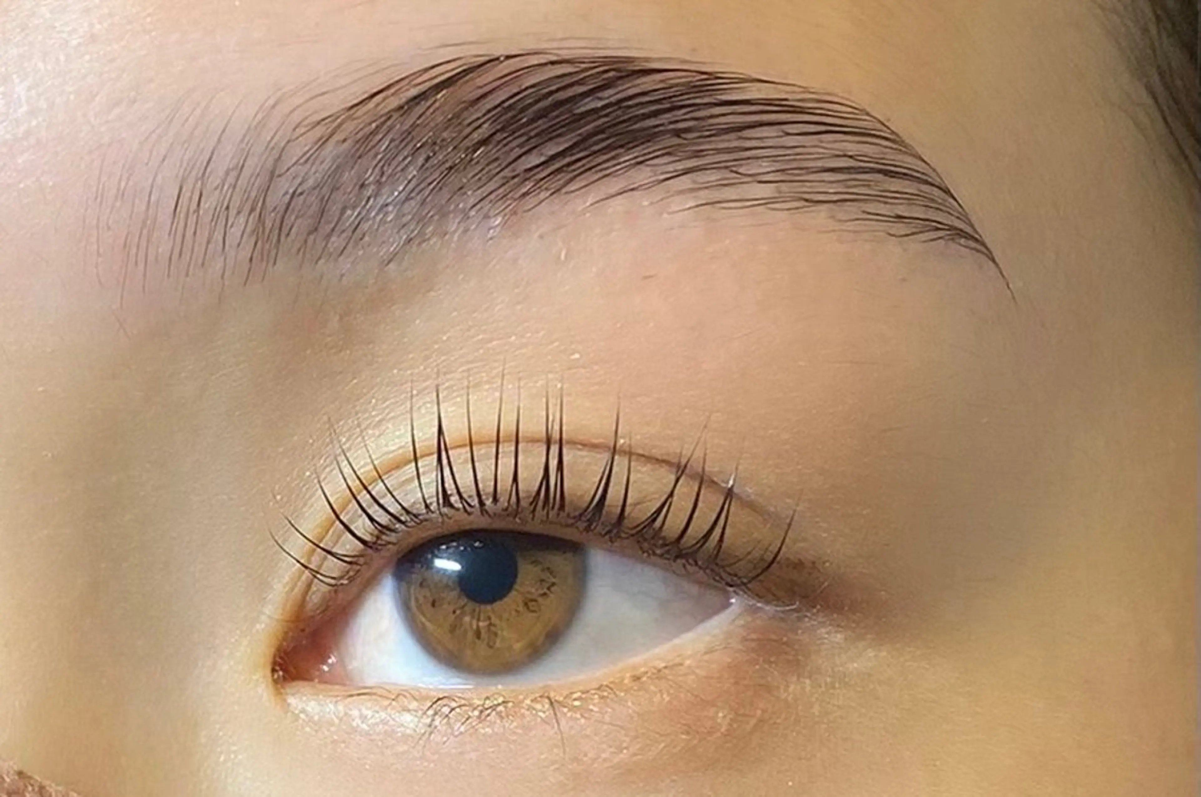 【🫧急募!開始時間指定🫧】眉毛wax & ブロウリフト練習モデル🏹の写真