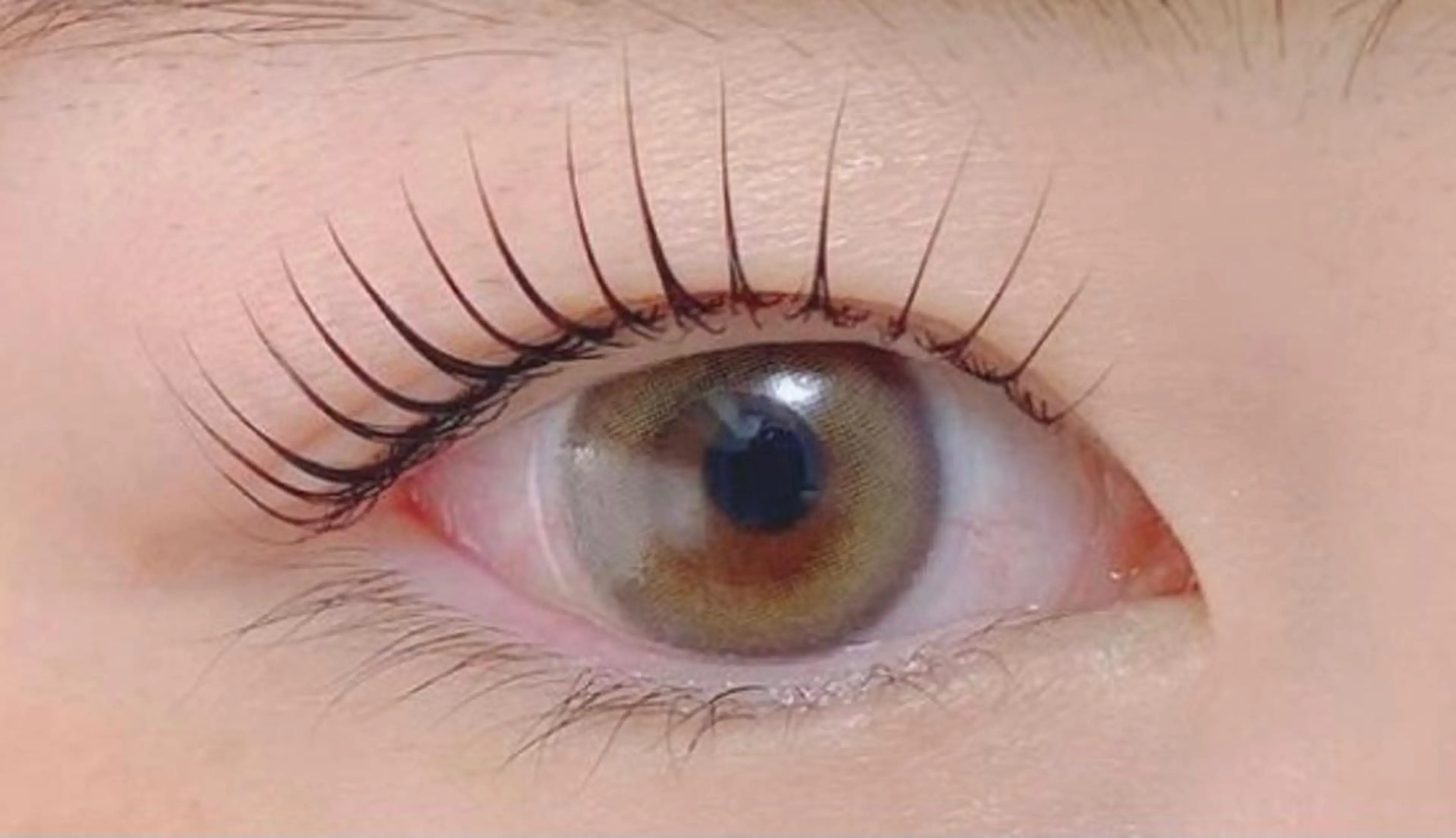 【毛質改善】ケラチントリートメント付まつ毛パーマ(コーティング付)の写真