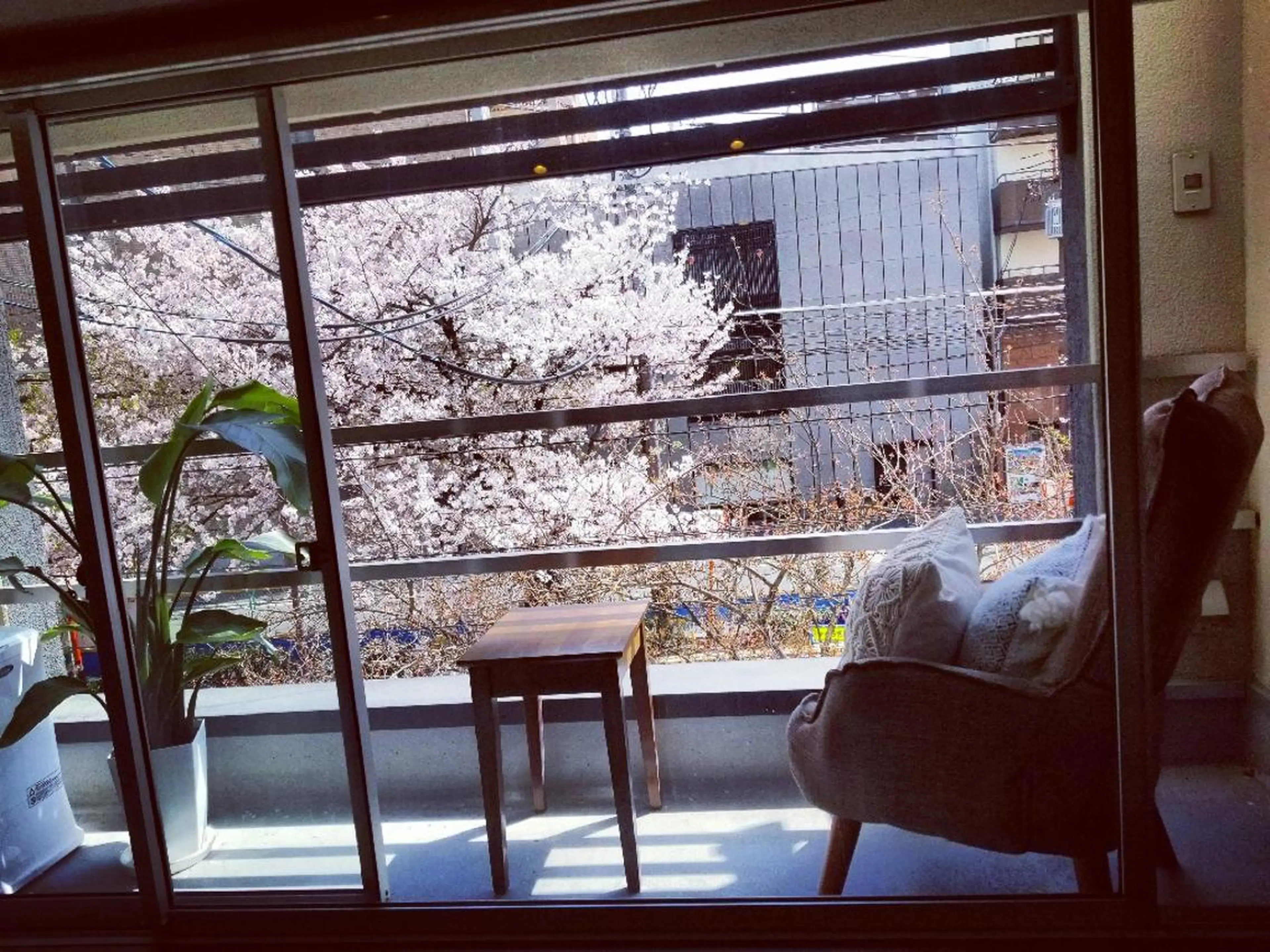 spa hair  ark 富井直美のヘアスタイル