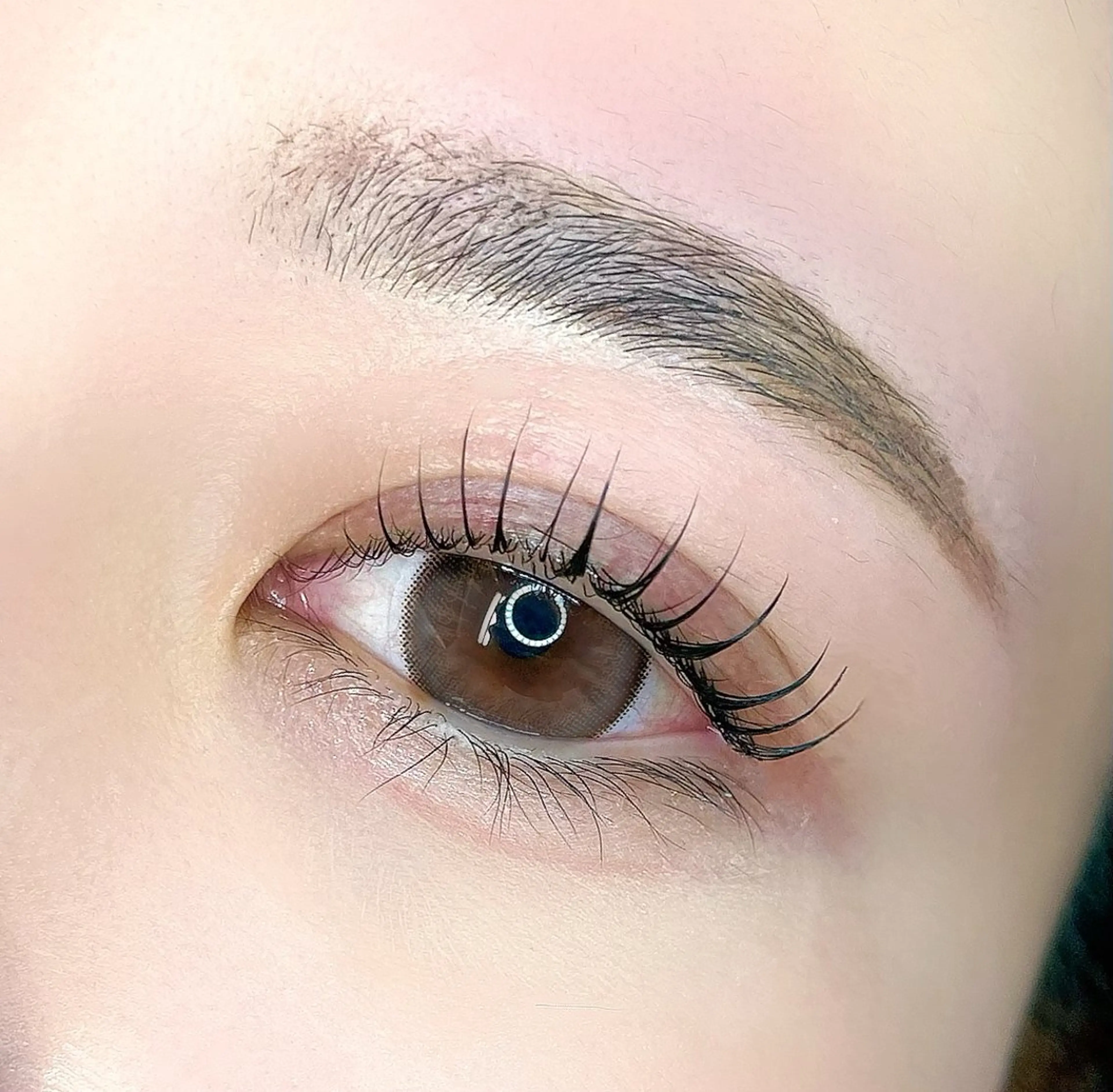 🤍まつ毛パーマ×アイブロウワックス‎🤍コーティング仕上げ＋アイシャンプー🫧(オフ+¥550)の写真