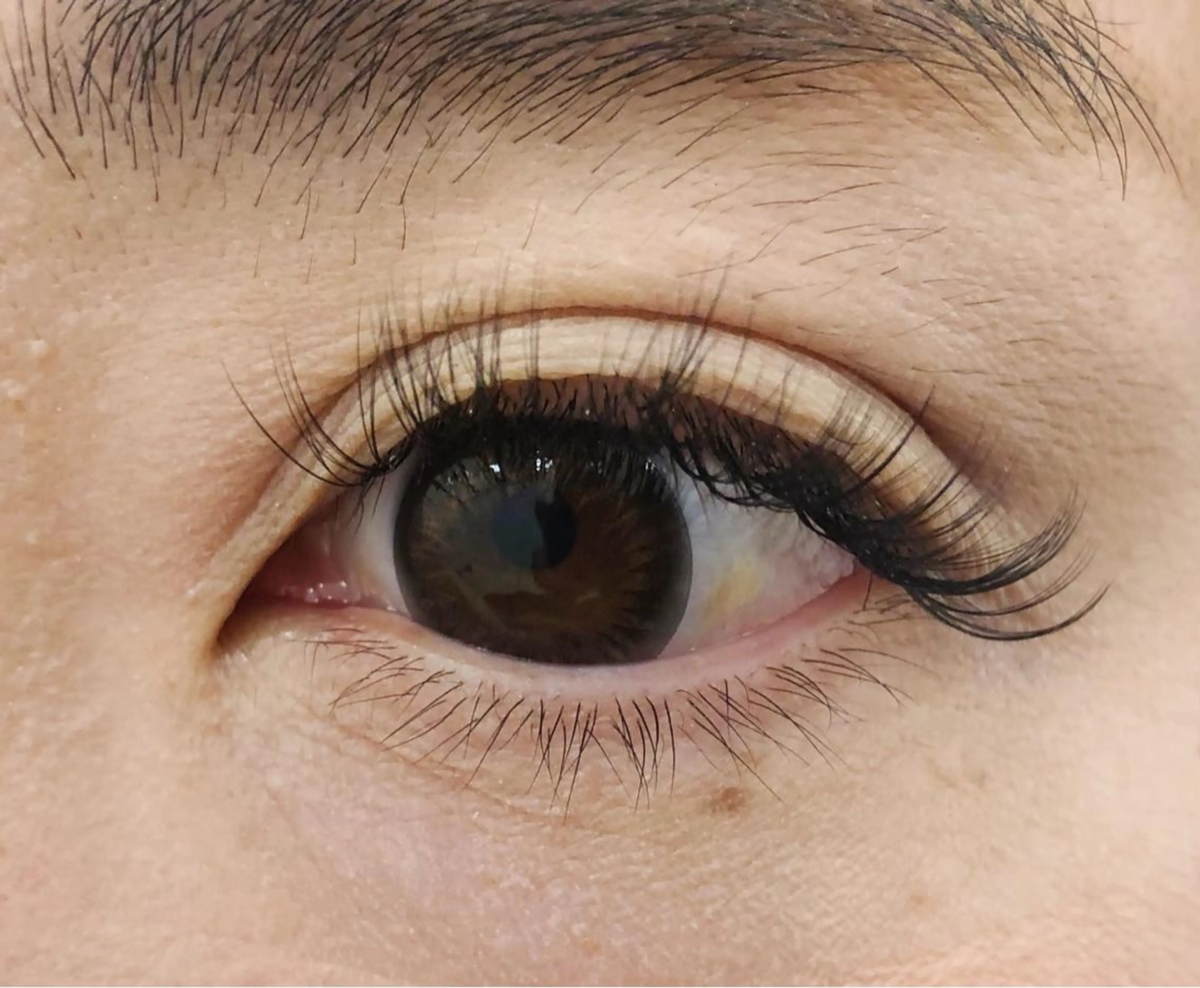 マツエク・マツパ ボリュームラッシュ CILGRACE 天野のマツエク・マツパデザイン