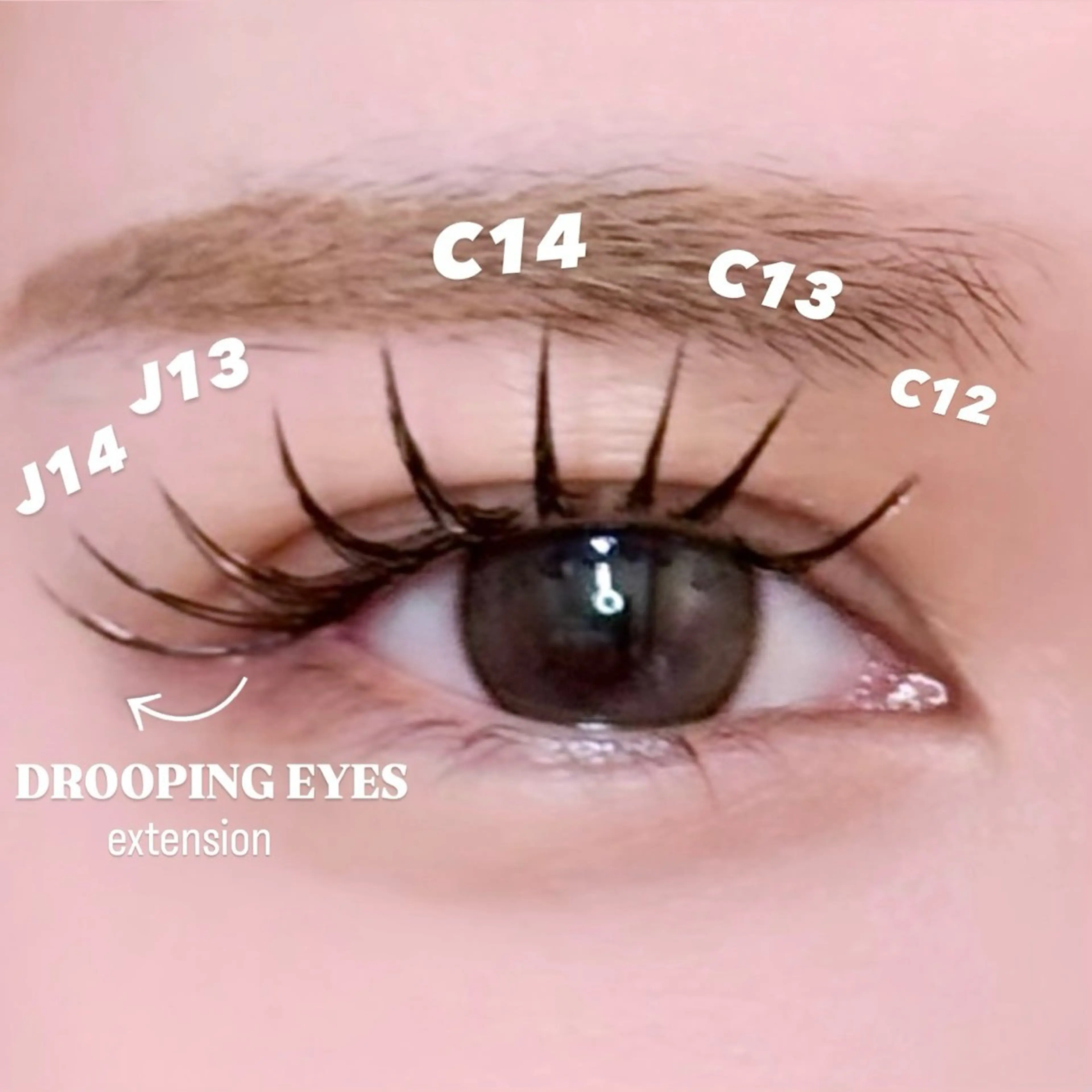 マツエク・マツパ マツエク 🦖fein. YUINA🦕⋆͛のマツエク・マツパデザイン