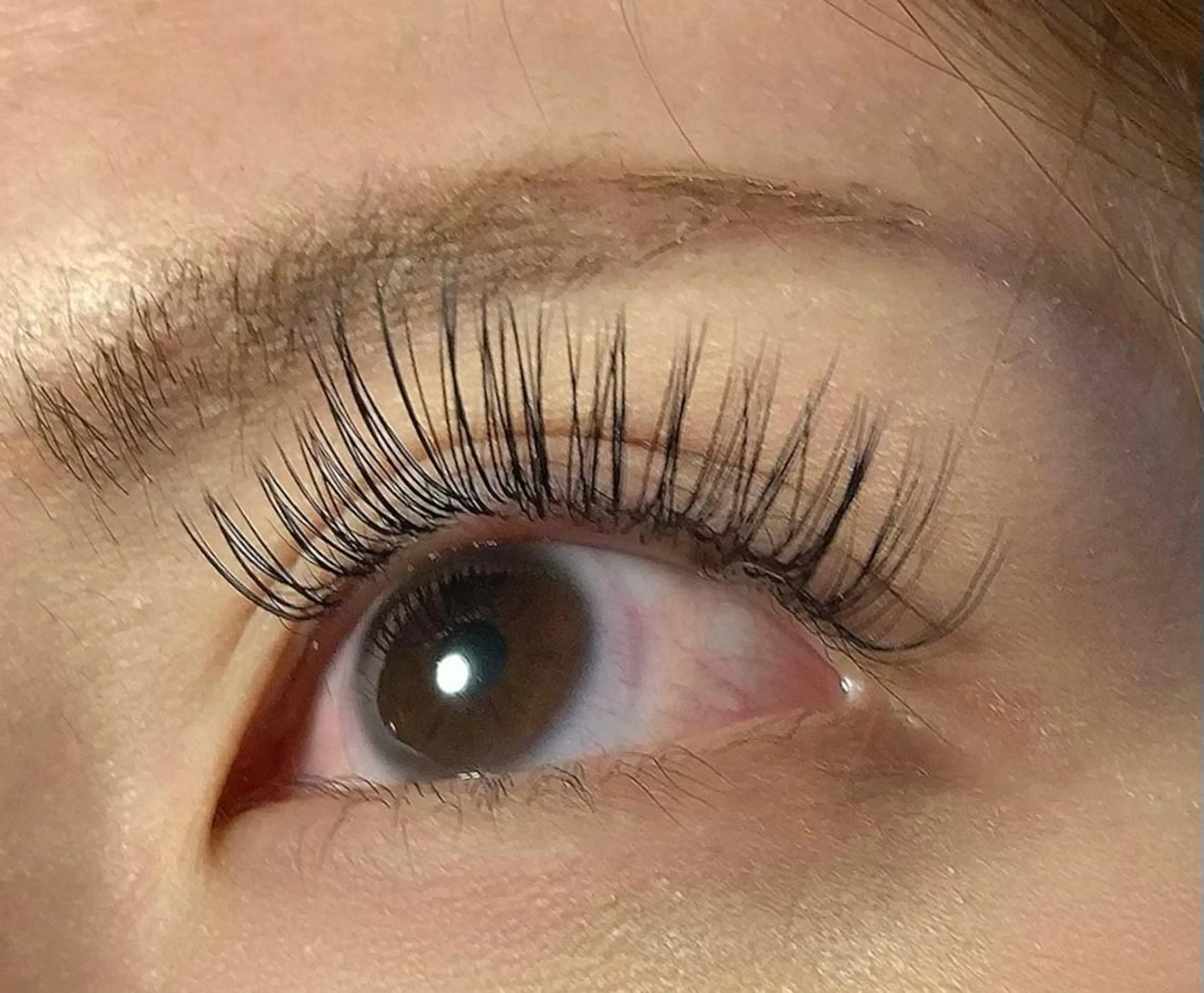 ご新規様特別価格✴︎ボリューム·持続性重視の方◎話題のバインドロック 両目100束の写真