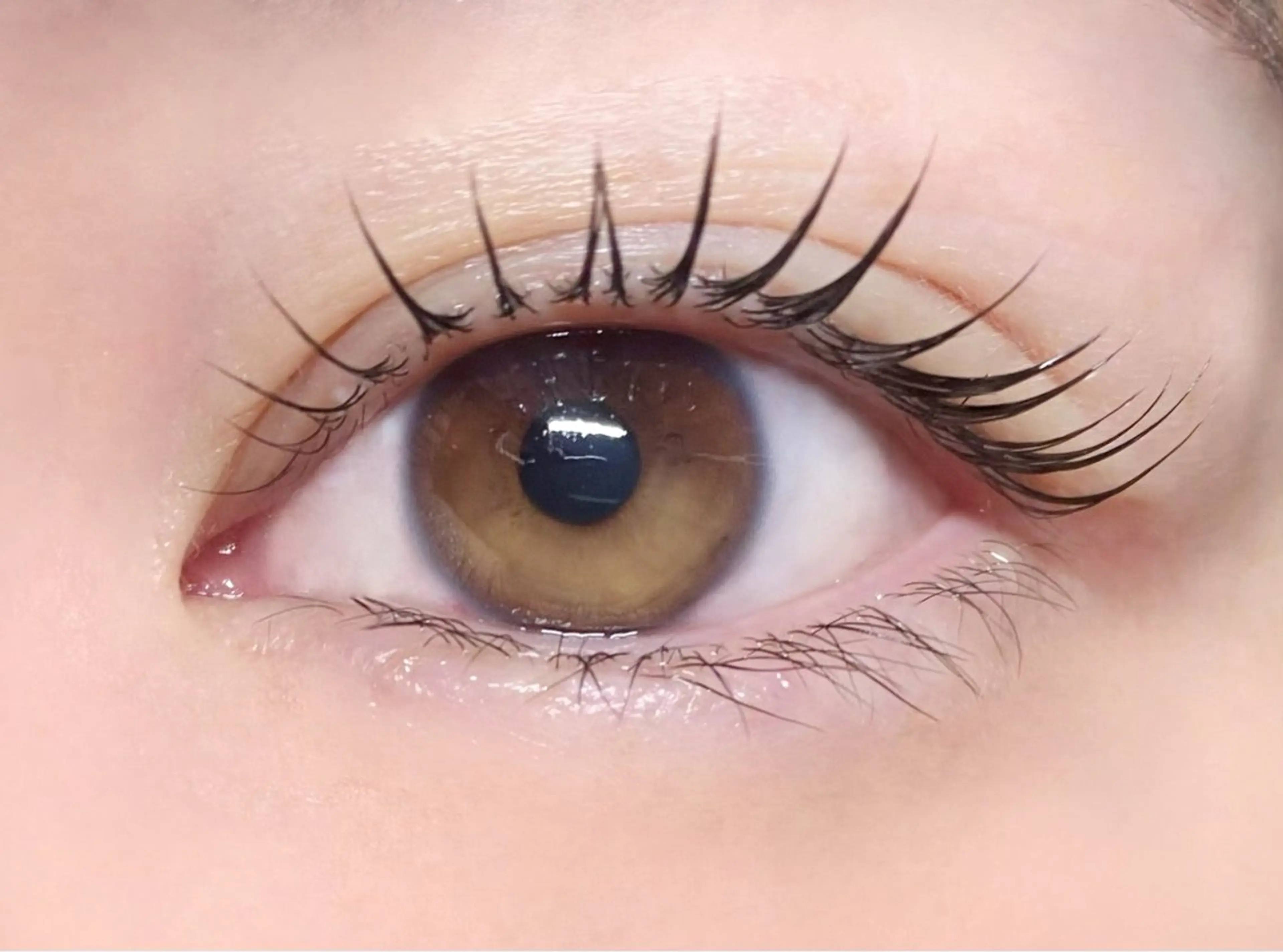 マツエク・マツパ Rairia nail&eyelash所属・Rairia CHIKAのマツエク・マツパデザイン