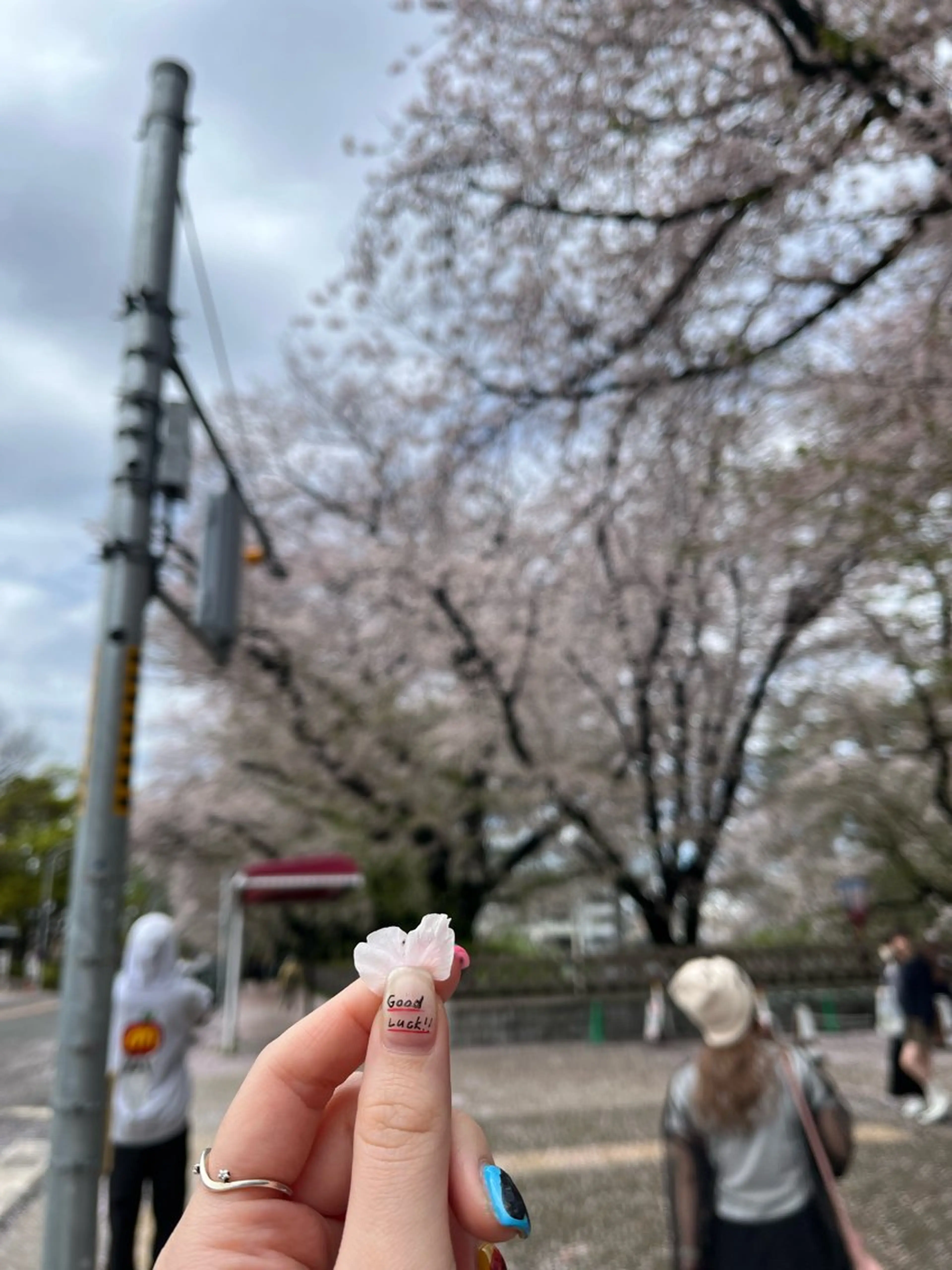 ROCCO east MIYOのヘアスタイル