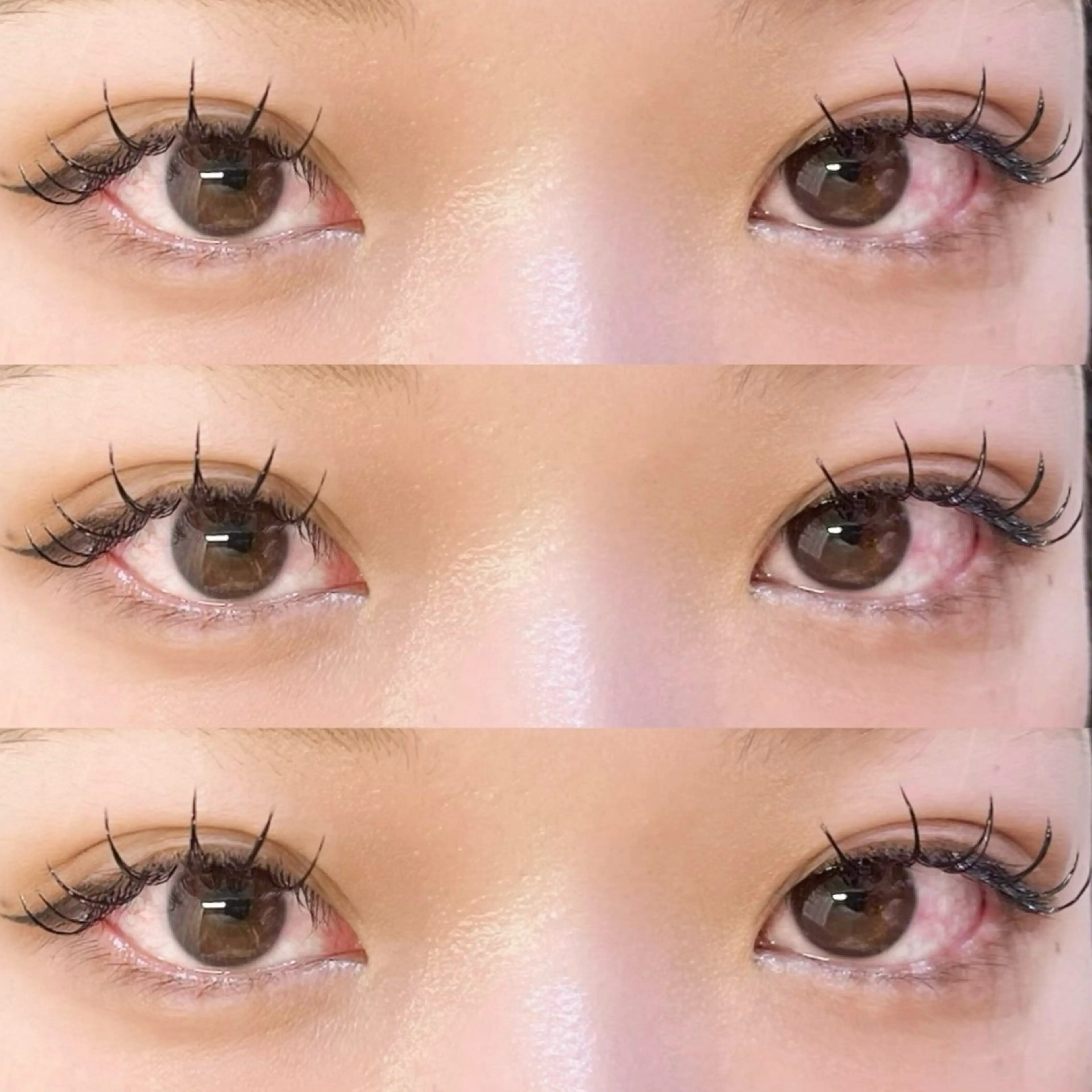 《アイシャンプー付き🫧》🦋フラットラッシュ120本🦋の写真