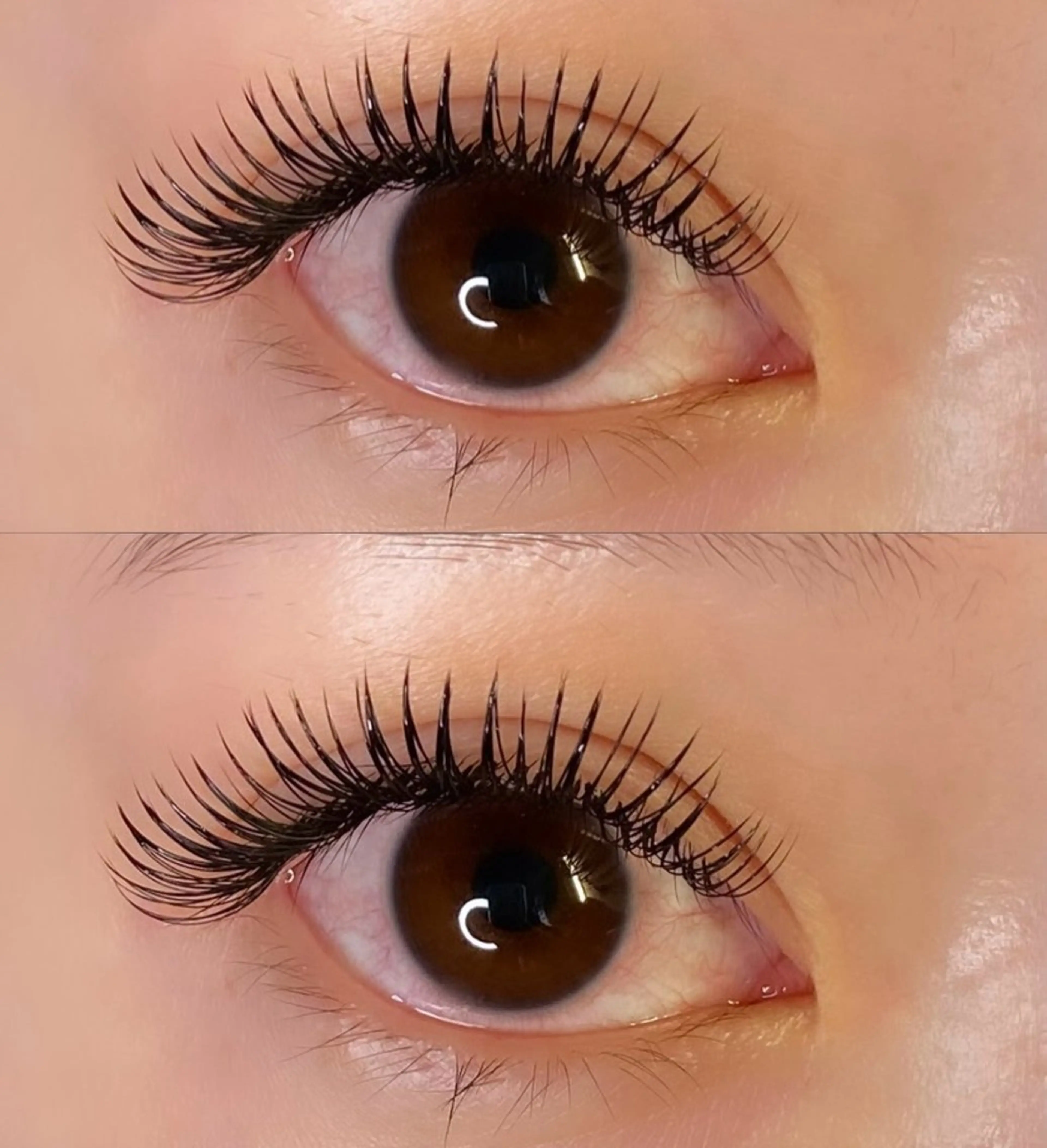 【期間限定メニュー】DKLデザインキープラッシュ60束の写真