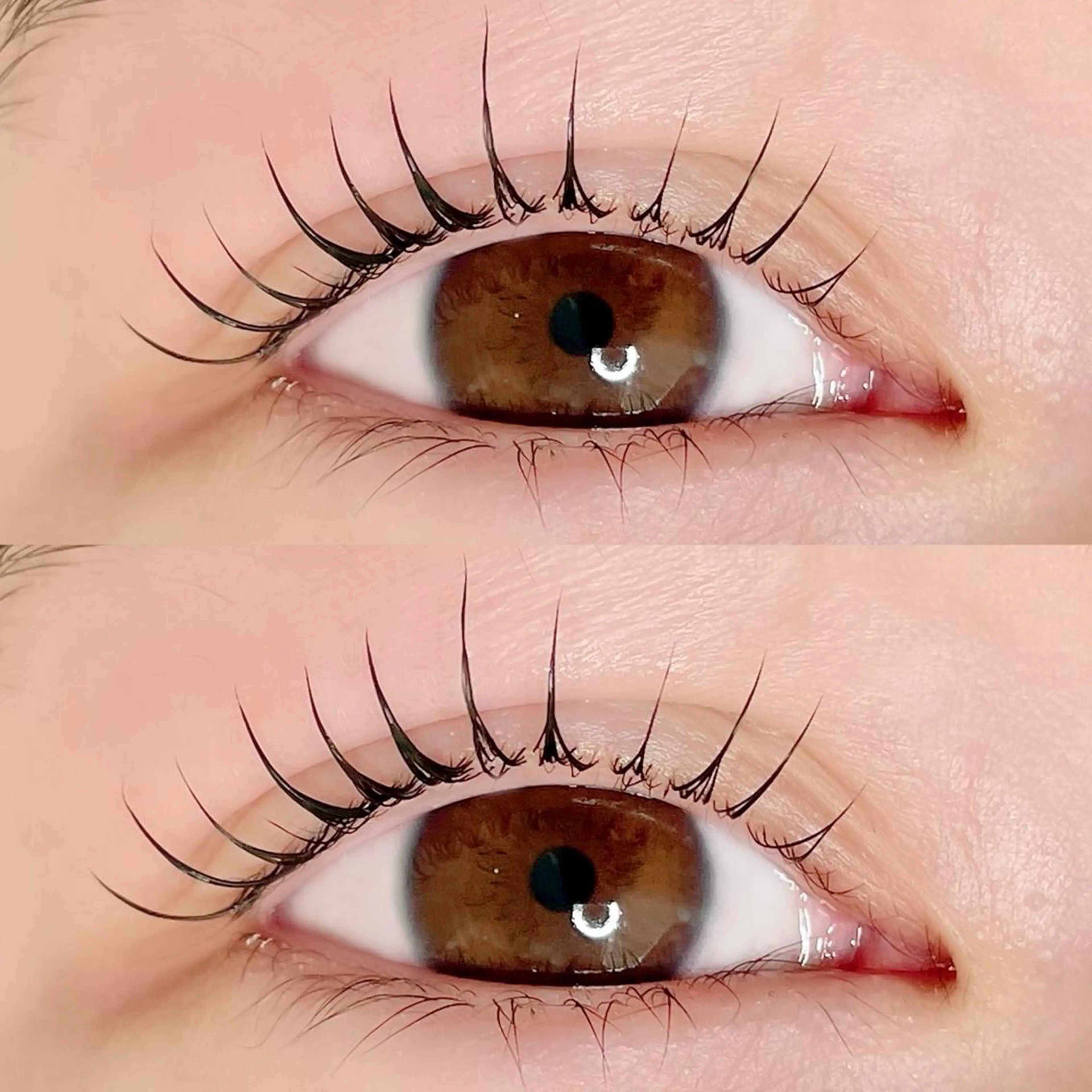 マツエク・マツパ AYLASH🧡 猪又のマツエク・マツパデザイン