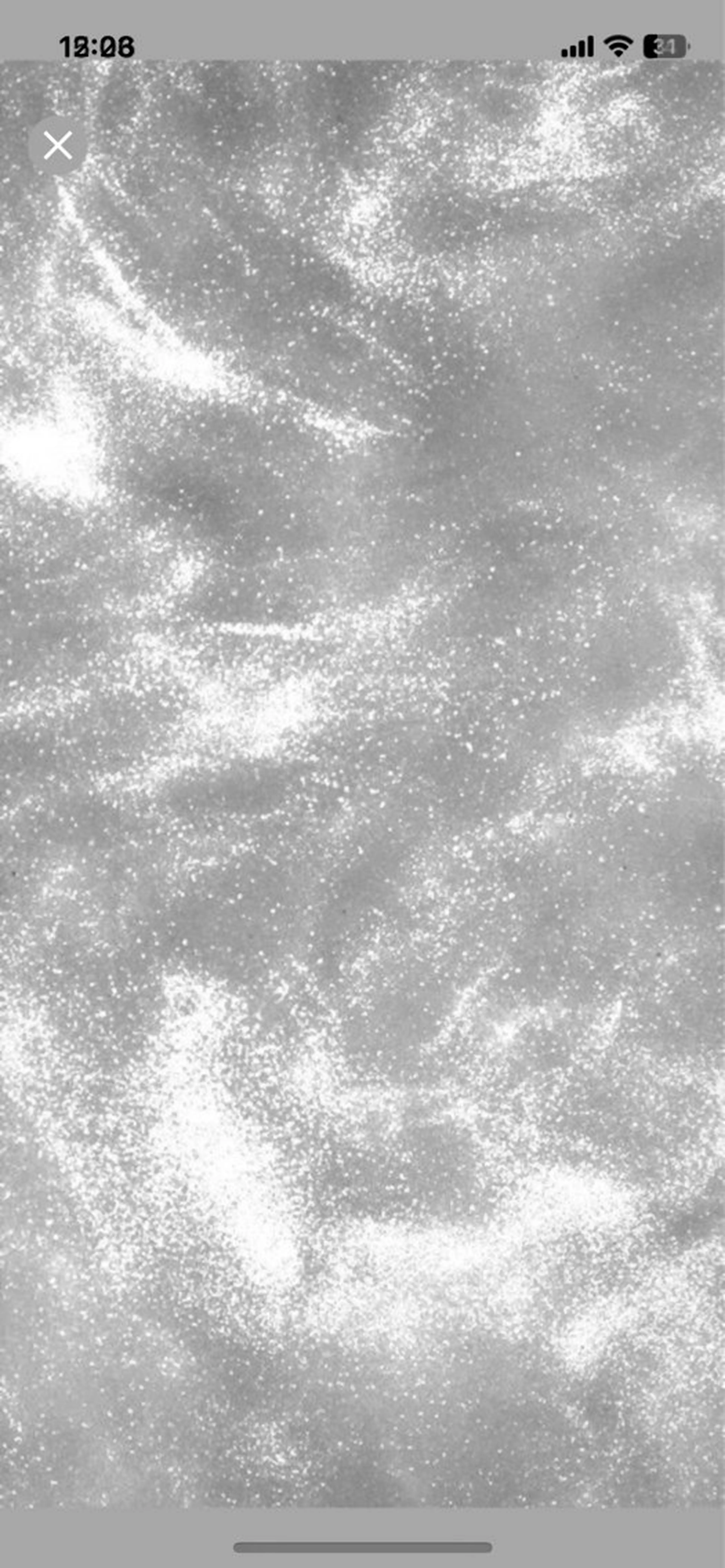 マツエク・マツパ Bianca Reika⭐️のマツエク・マツパデザイン