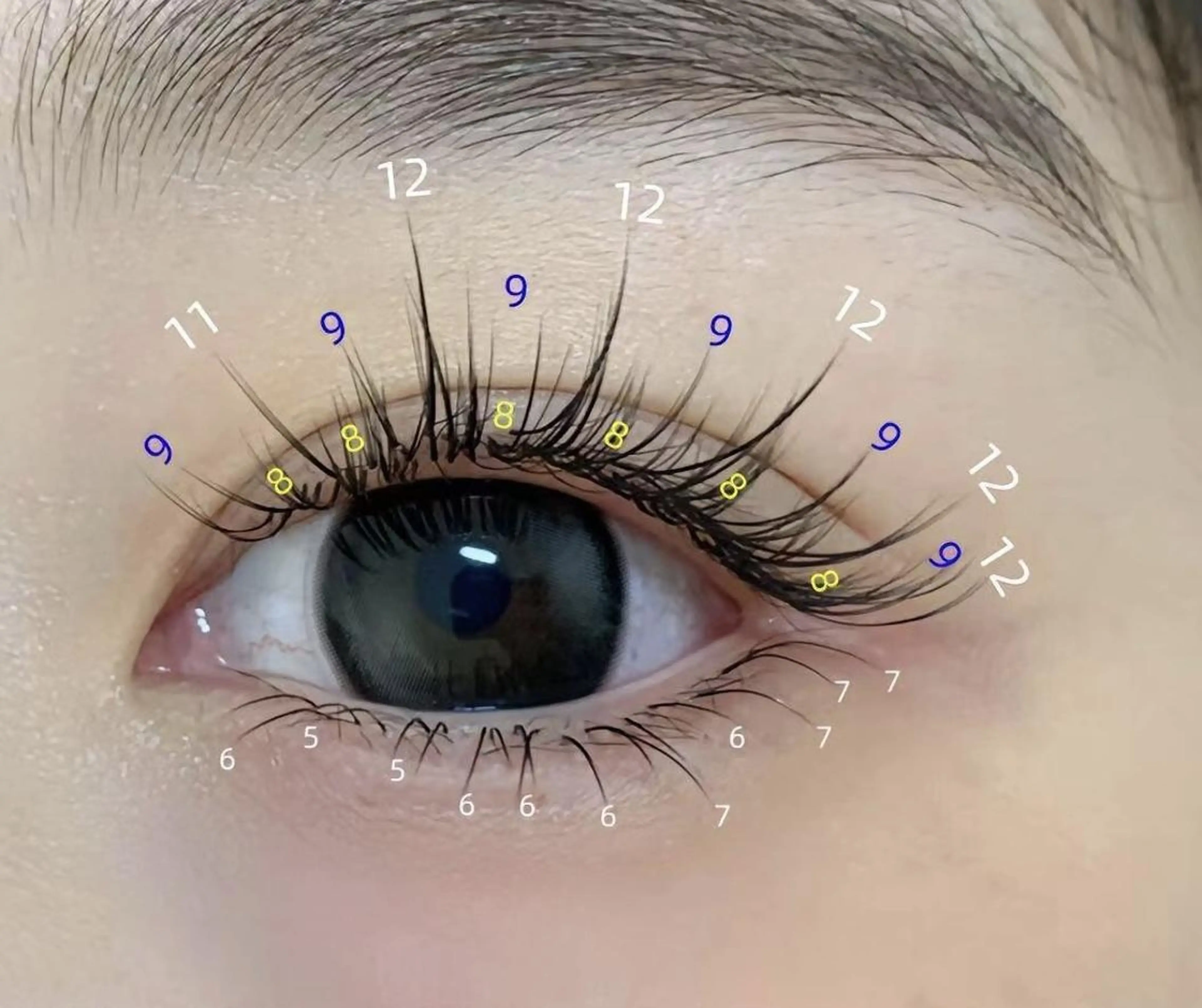 マツエク・マツパ まつげパーマ専門店 FOIのマツエク・マツパデザイン