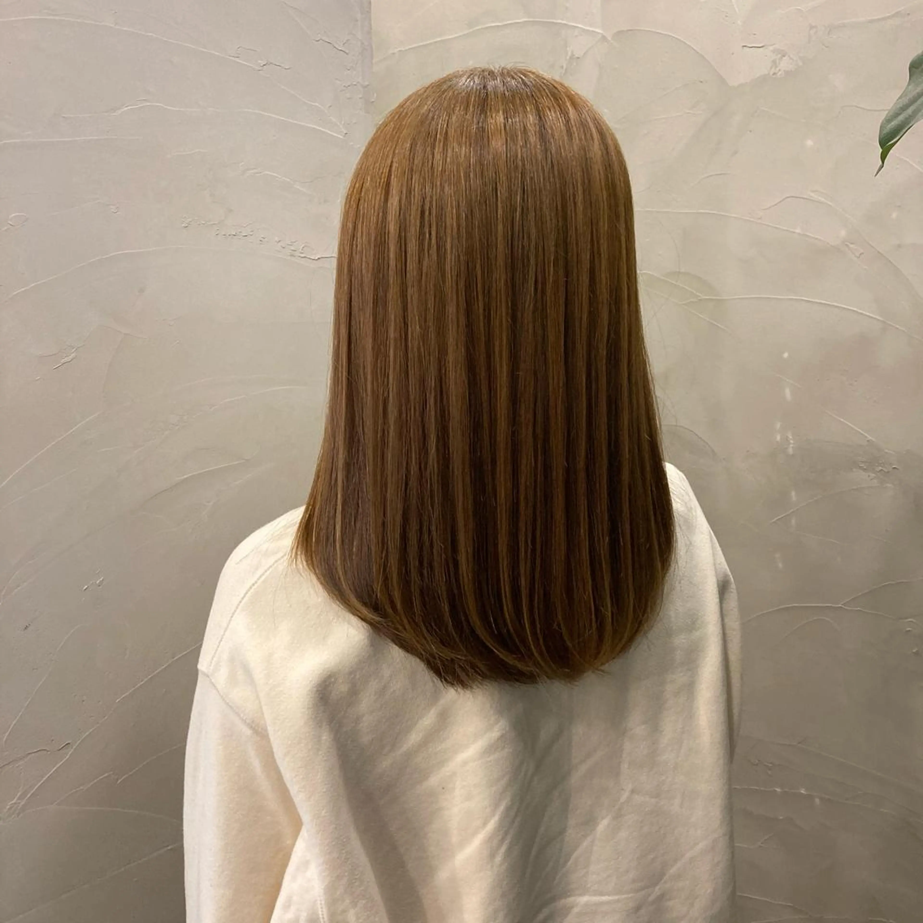 セミロング カラー 韓国レイヤーカット★ 小林大樹のヘアスタイル