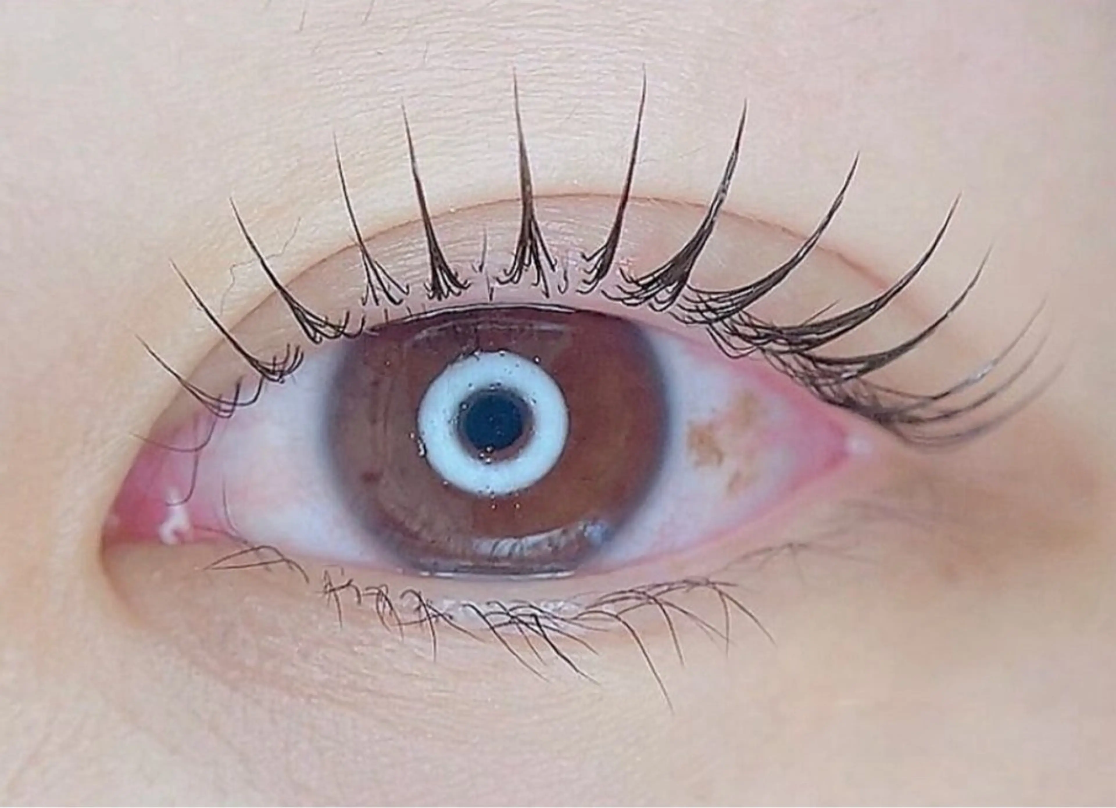 人気No.1【束感まつげパーマ】カール・立ち上げ/ラッシュリフト5500→4980の写真