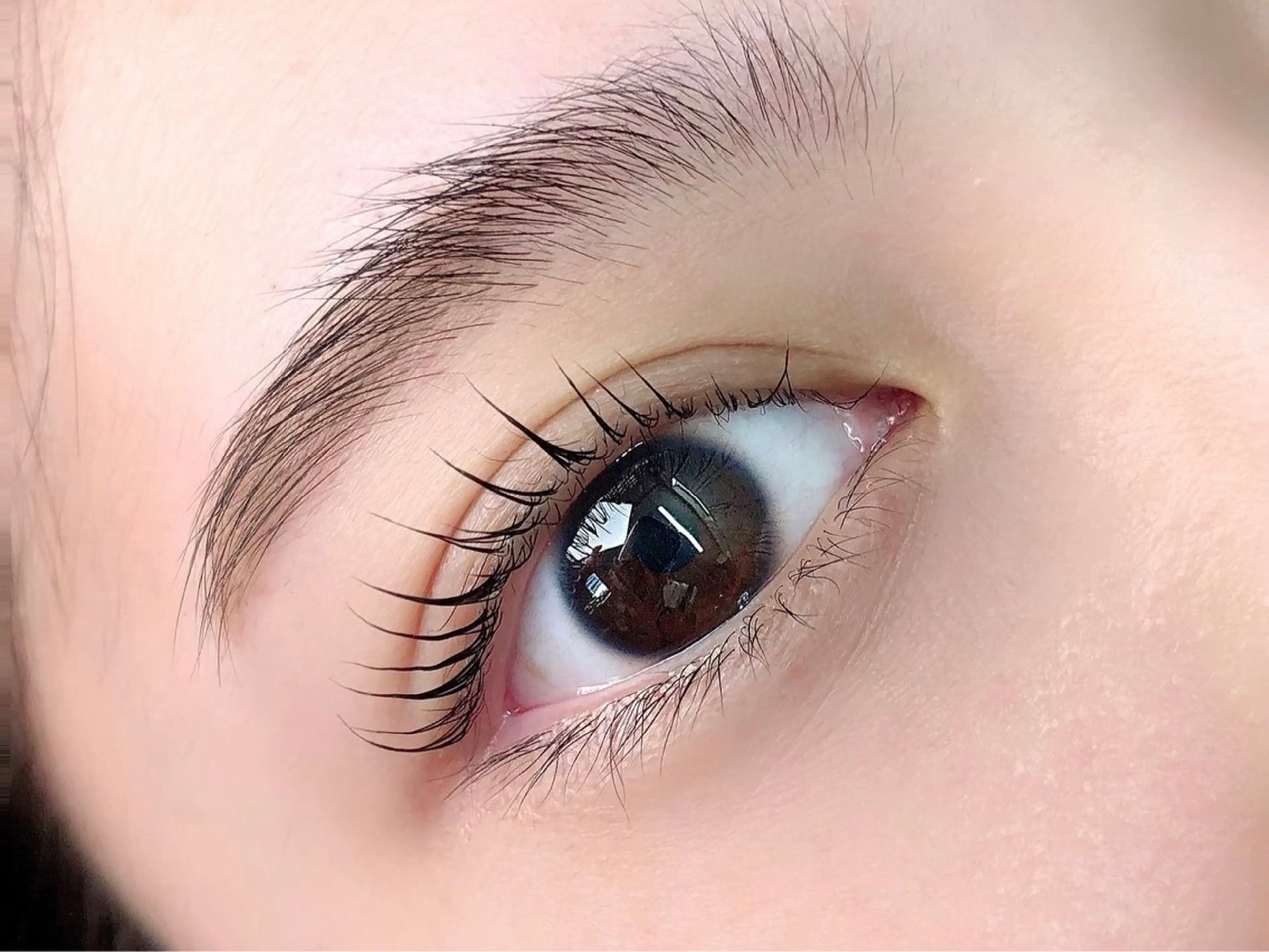 次世代まつ毛パーマ/ラッシュカールの写真