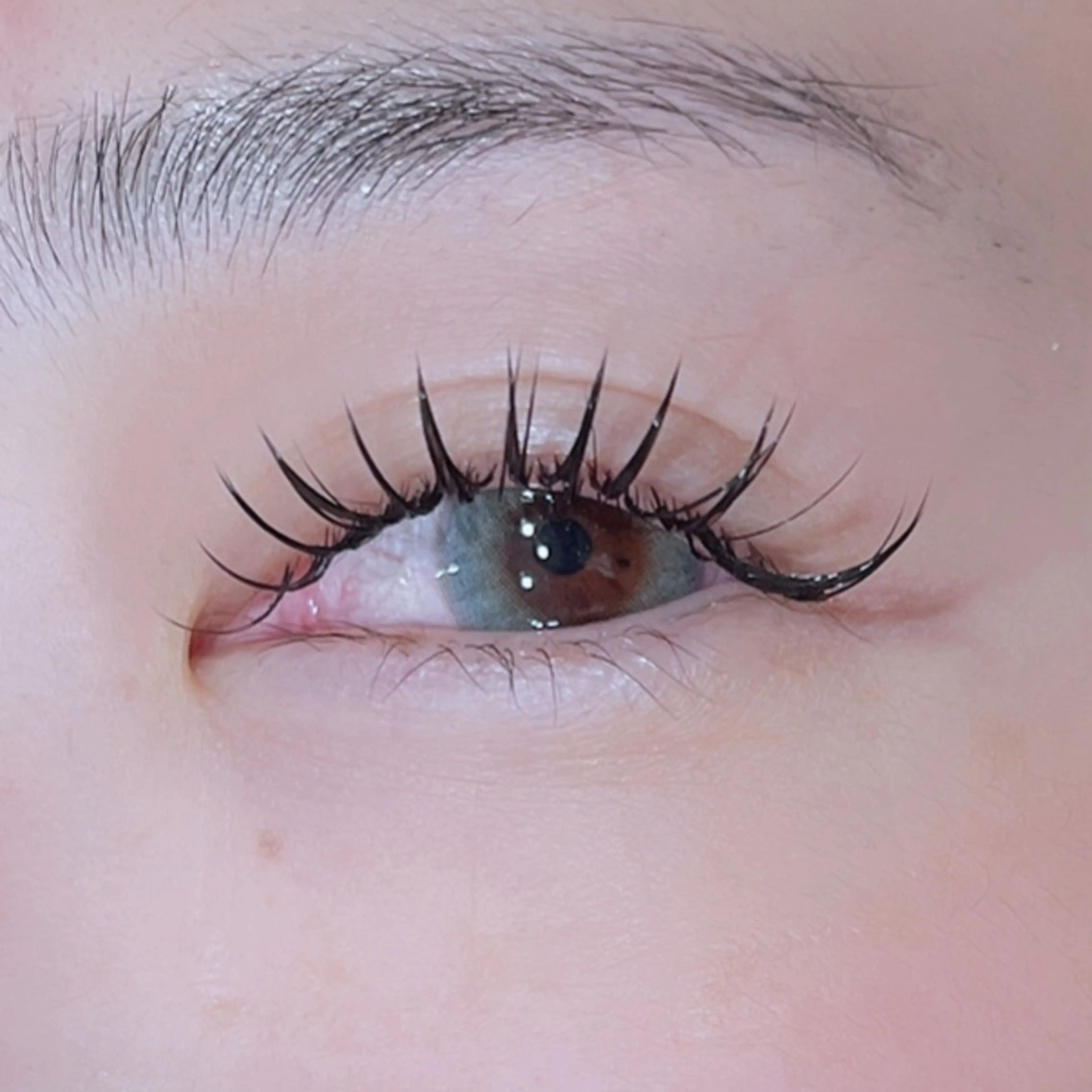 バインドロック　バインドロック＋まつ毛パーマ　エクステ　LEDでお付けしますの写真