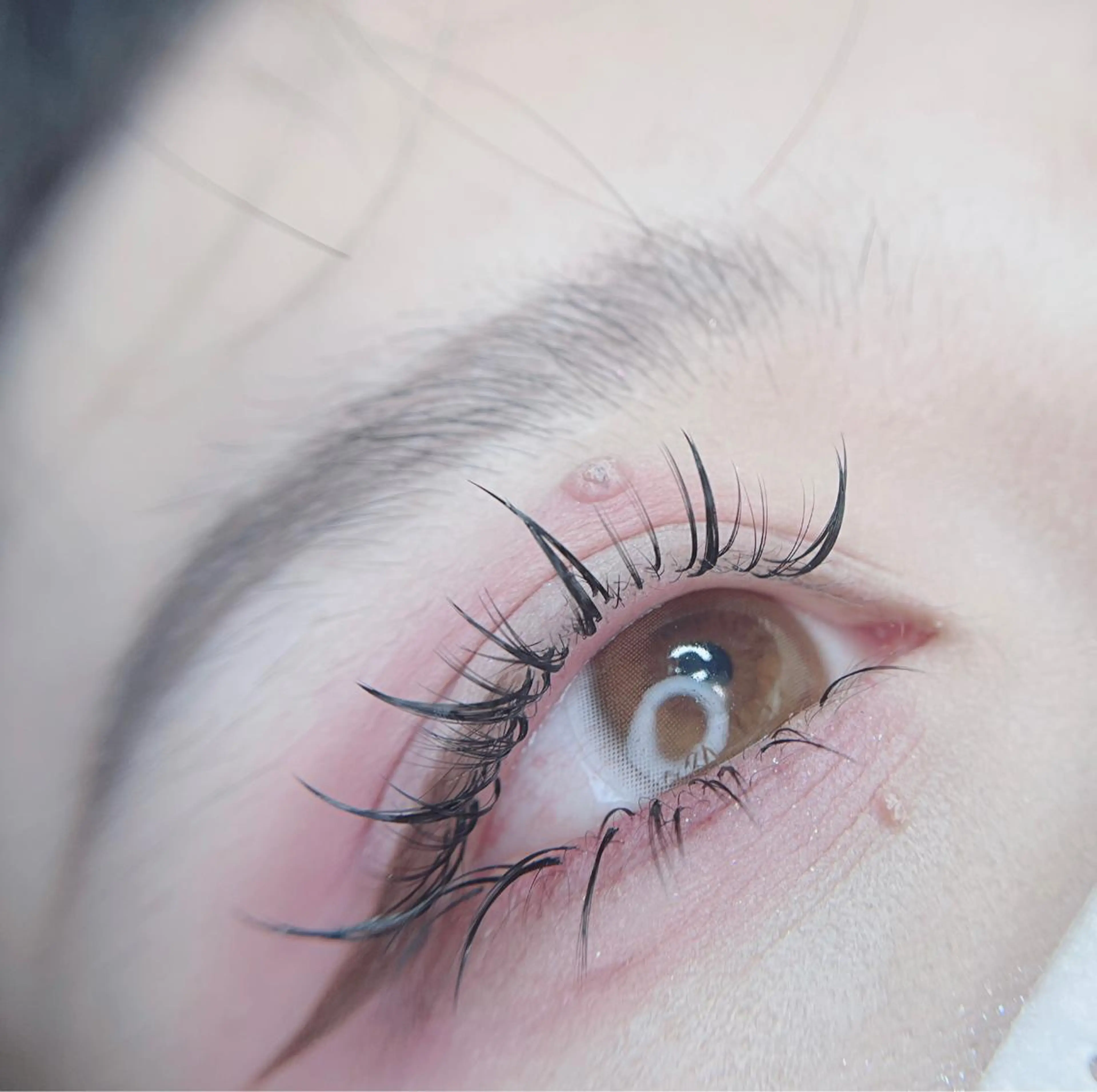 マツエク・マツパ foisalon 大久保店のマツエク・マツパデザイン