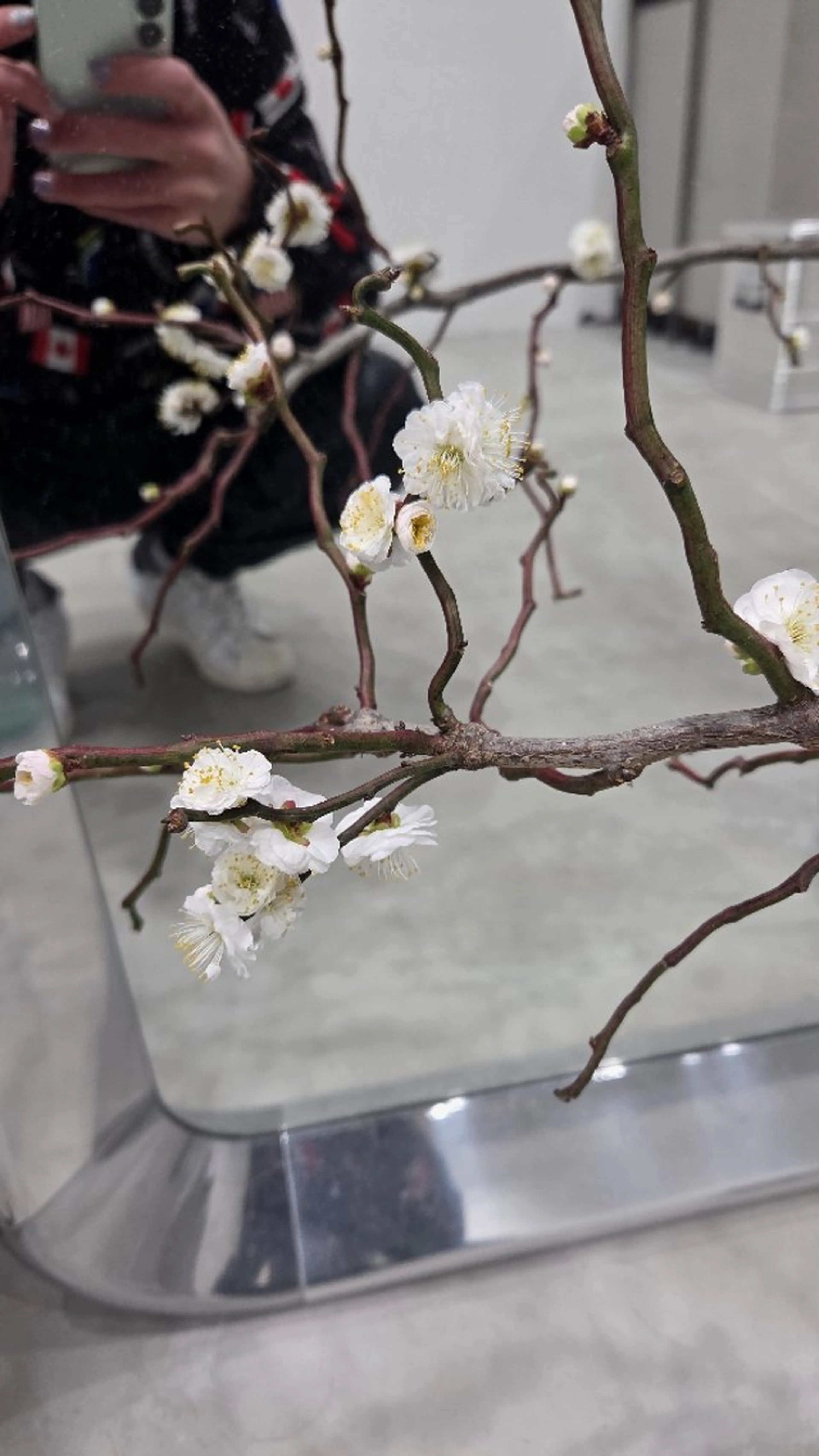 ill 天神大名所属・YOKUTO 前下りボブ/レイヤーのヘアスタイル