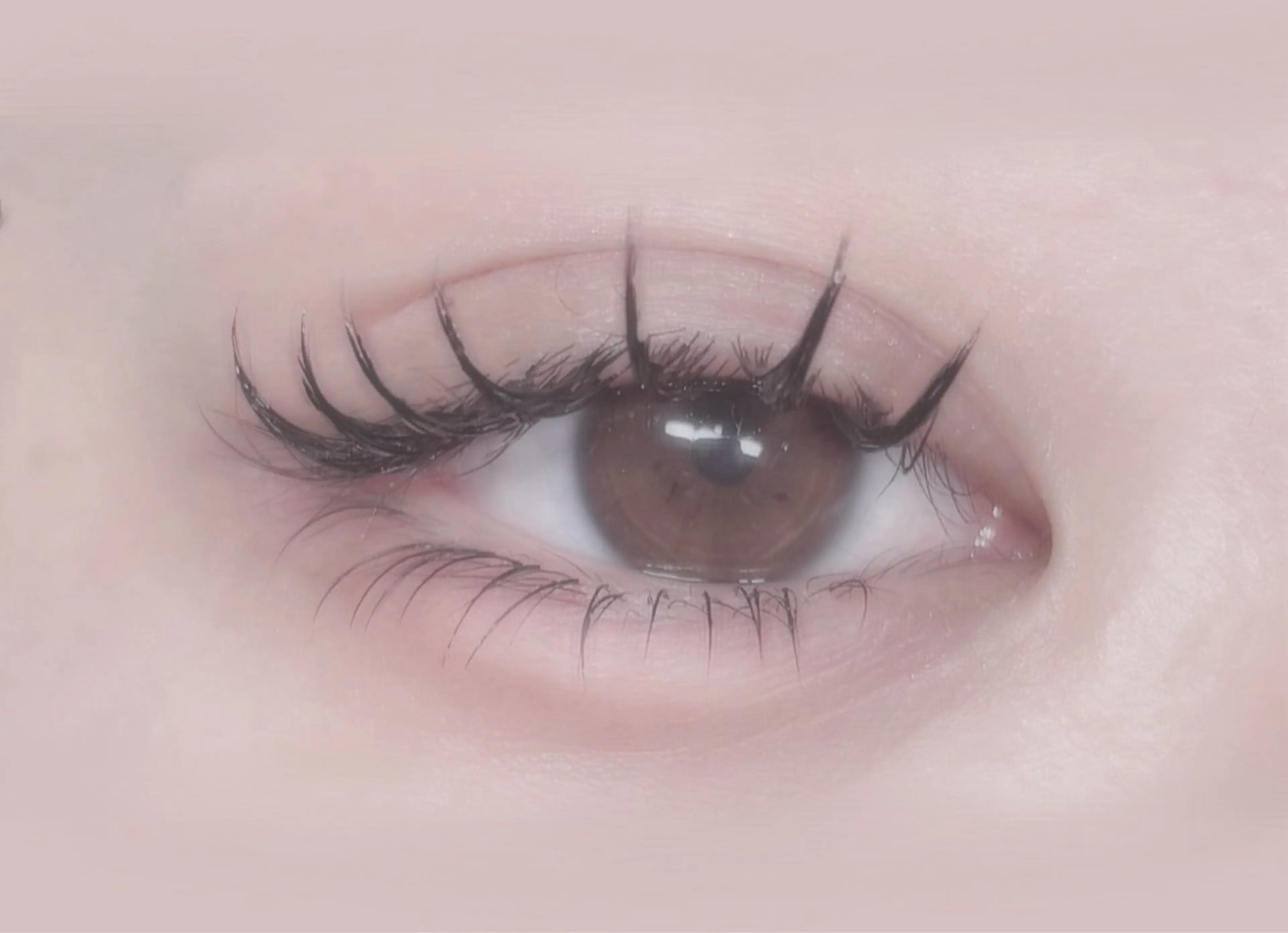 マツエク・マツパ Dカール Jカール ナチュラル 仲尾 奏音のマツエク・マツパデザイン