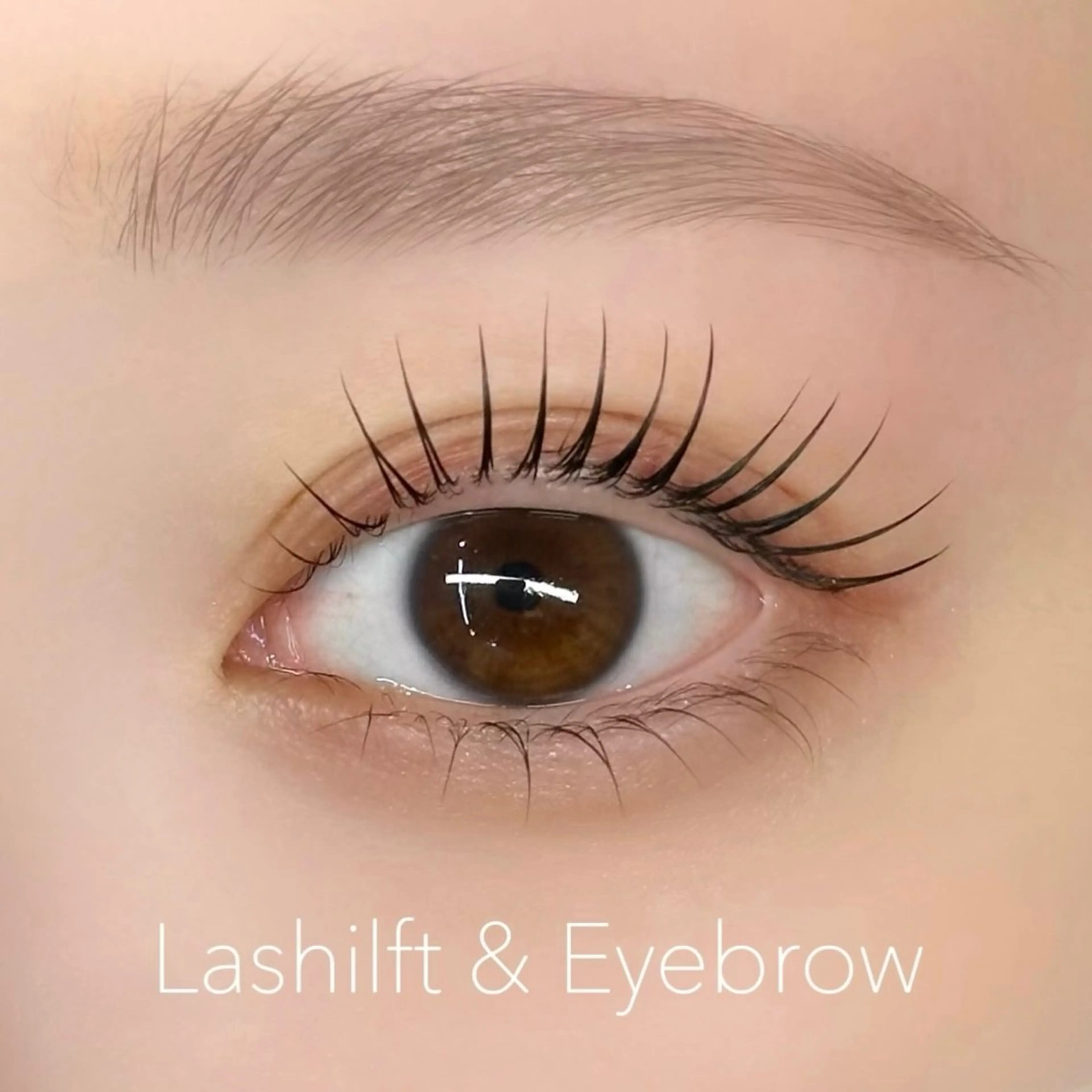 マツエク・マツパ O'L所属・Eyelash & Eyebrowのマツエク・マツパデザイン