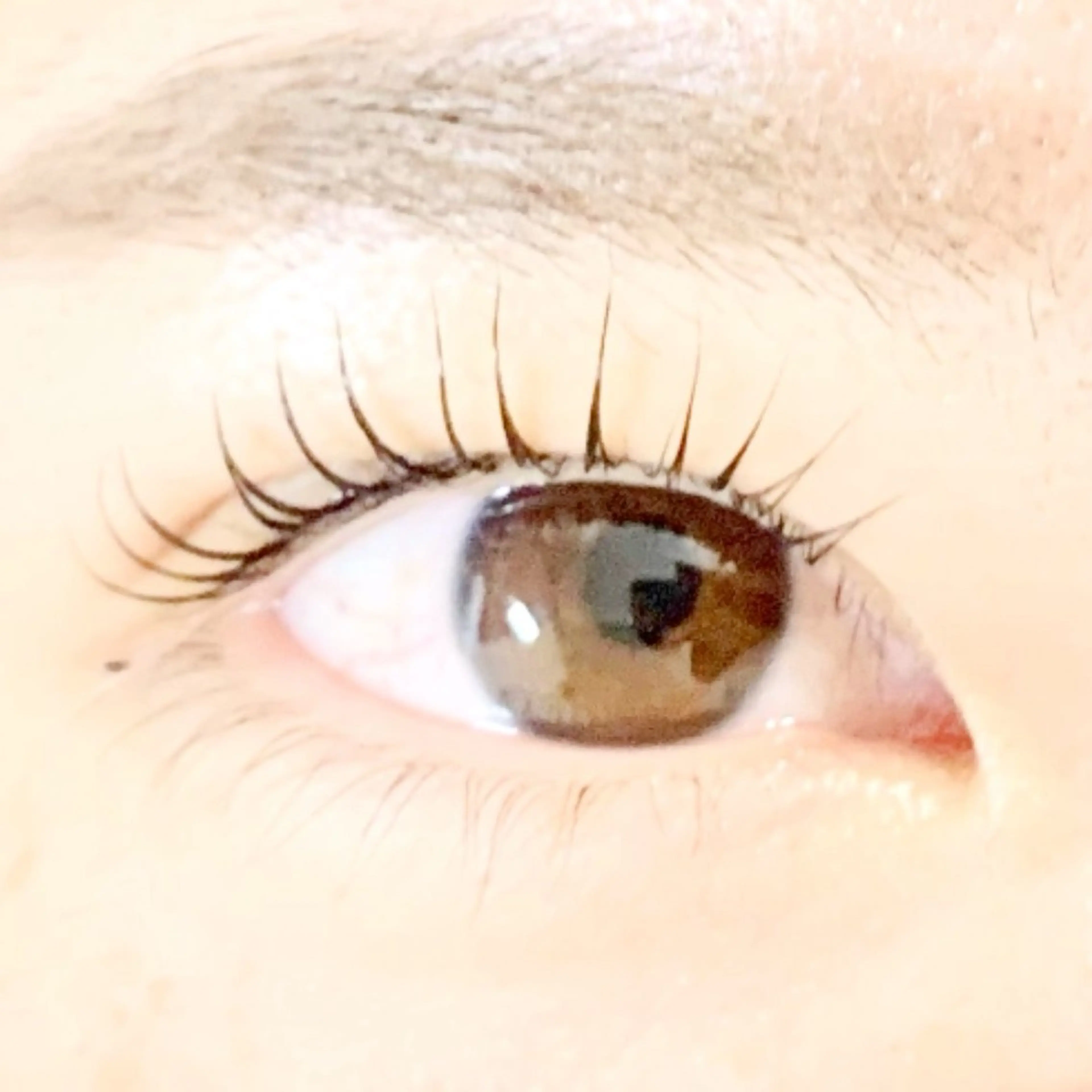 マツエク・マツパ a moのマツエク・マツパデザイン